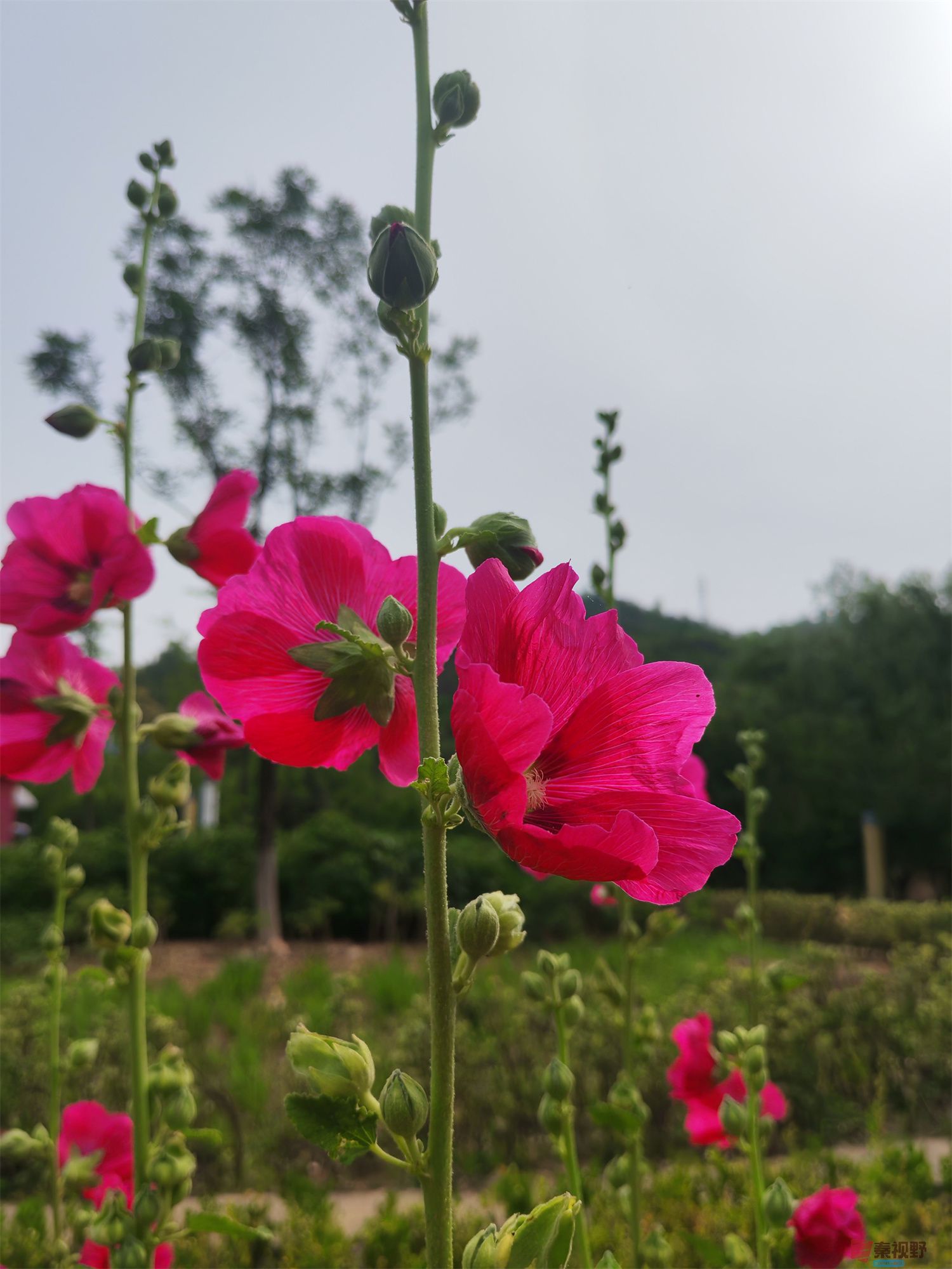 压缩IMG_20250623_175221 (44).jpg