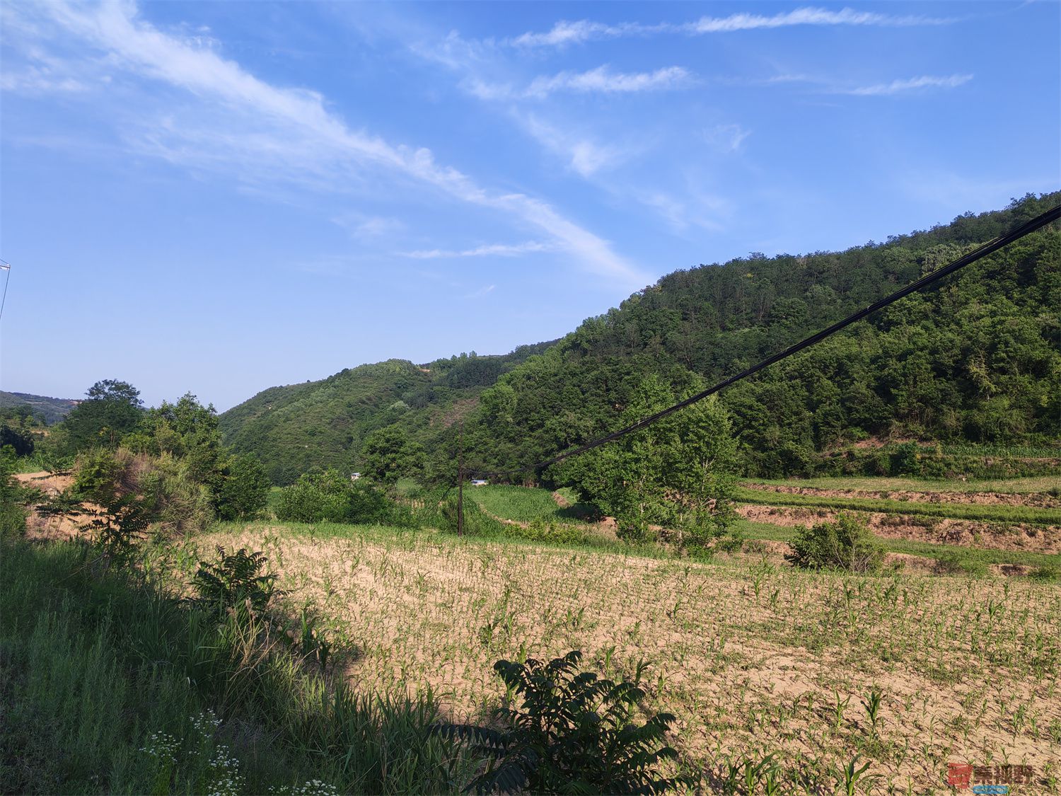 压缩IMG_20250623_175221 (3).jpg