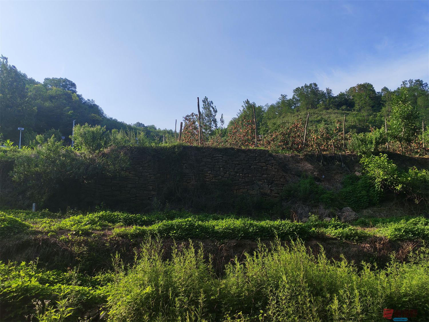 压缩IMG_20250623_175221 (10).jpg