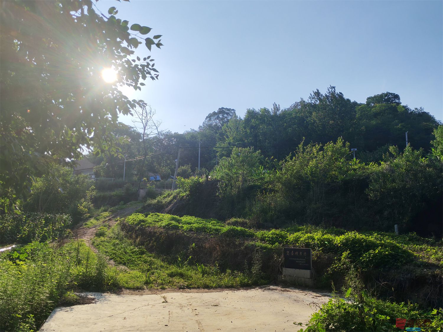 压缩IMG_20250623_175221 (11).jpg