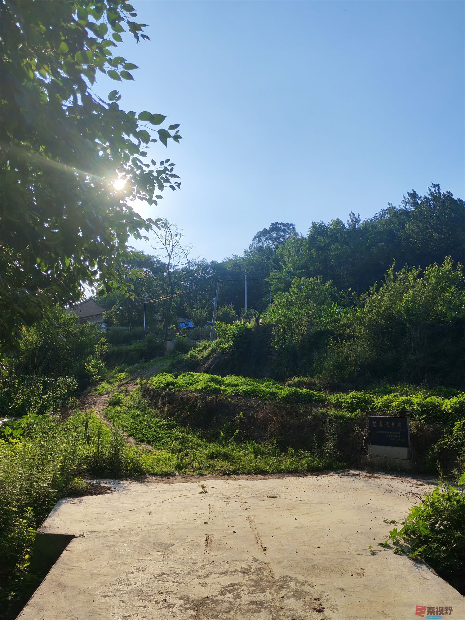 压缩IMG_20250623_175221 (12).jpg