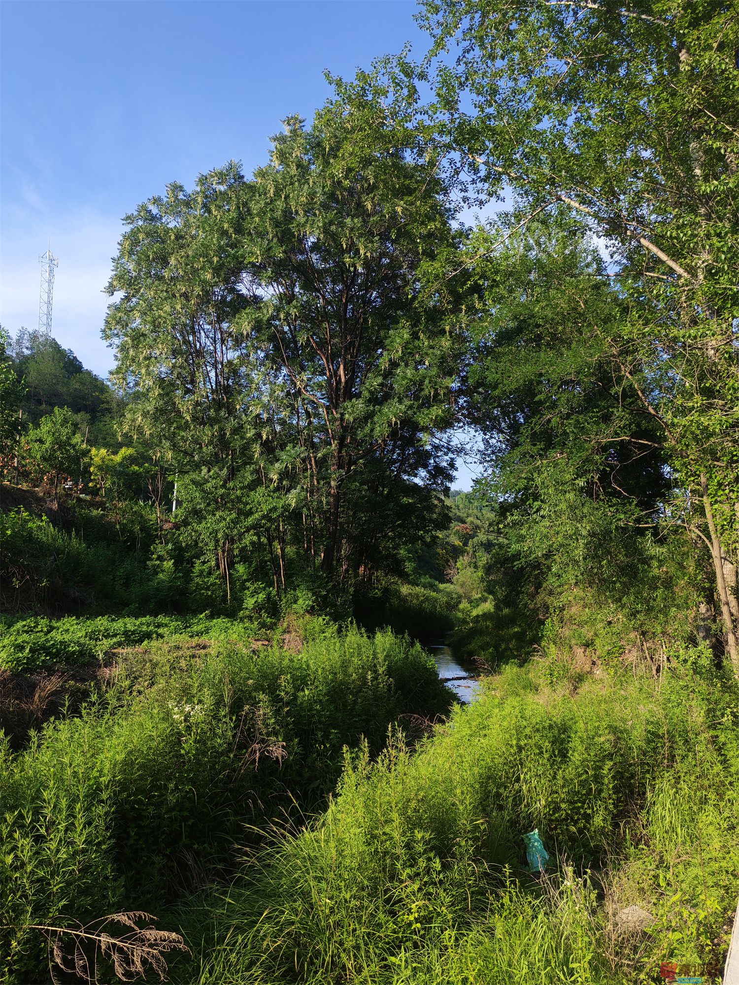 压缩IMG_20250623_175221 (13).jpg