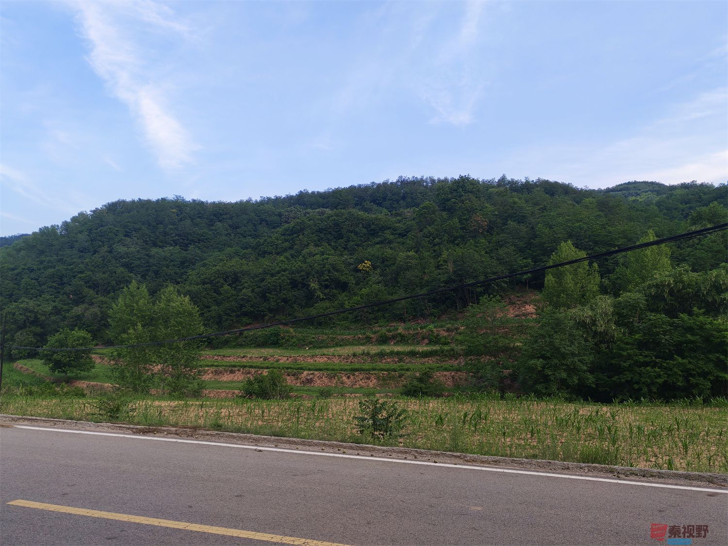 压缩IMG_20250623_175221 (29).jpg