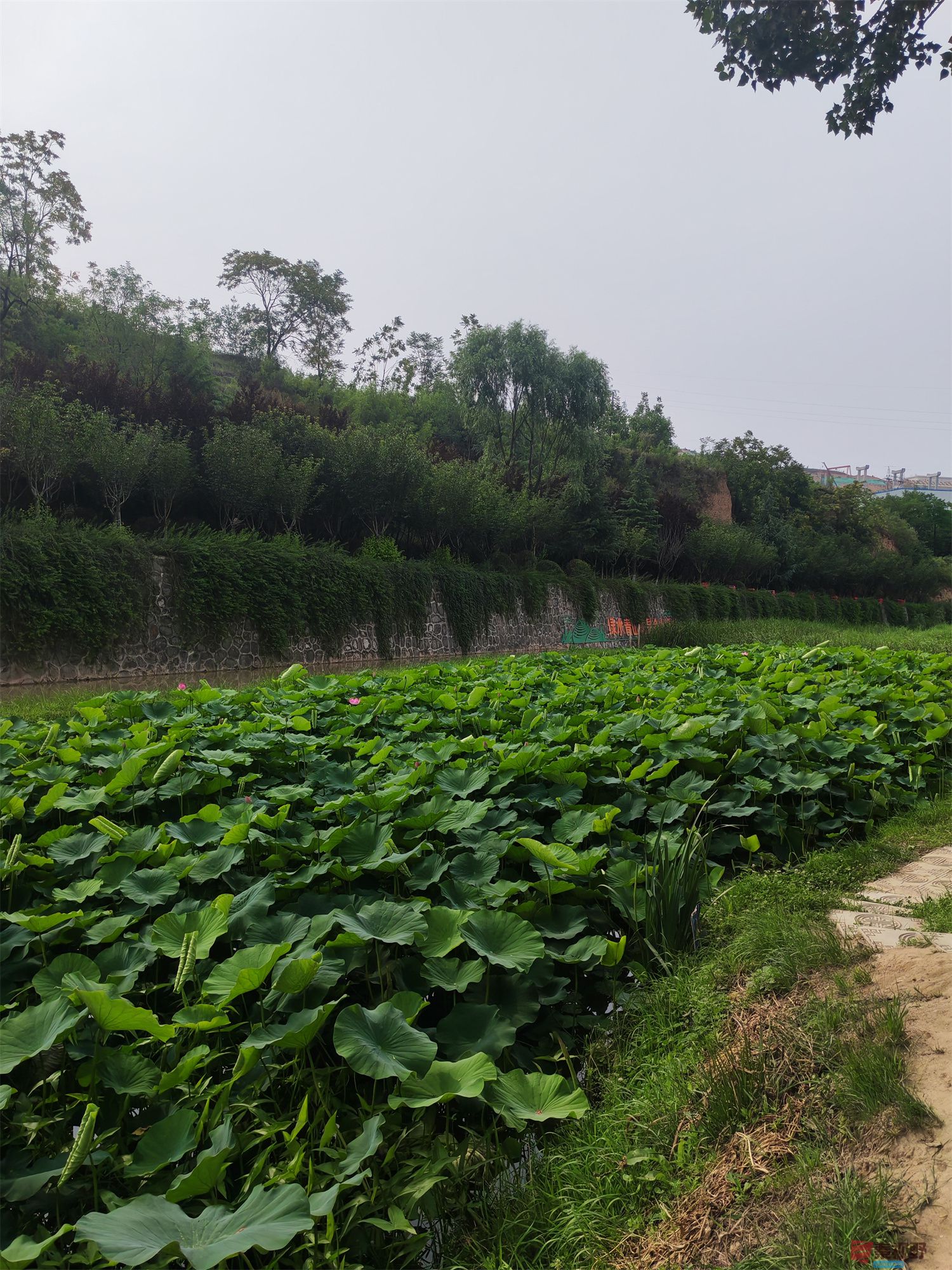 压缩IMG_20250623_175221 (49).jpg