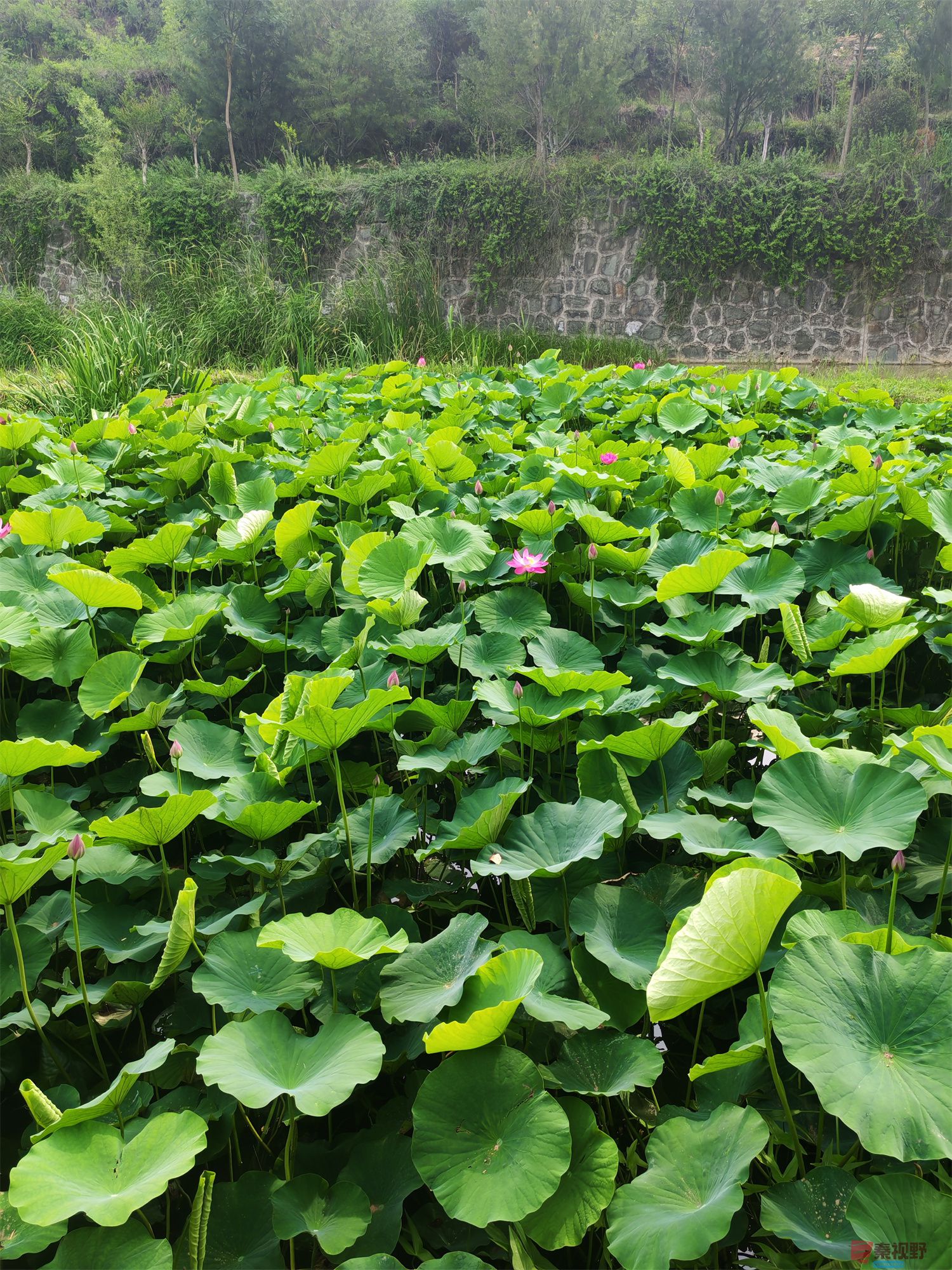 压缩IMG_20250623_175221 (50).jpg