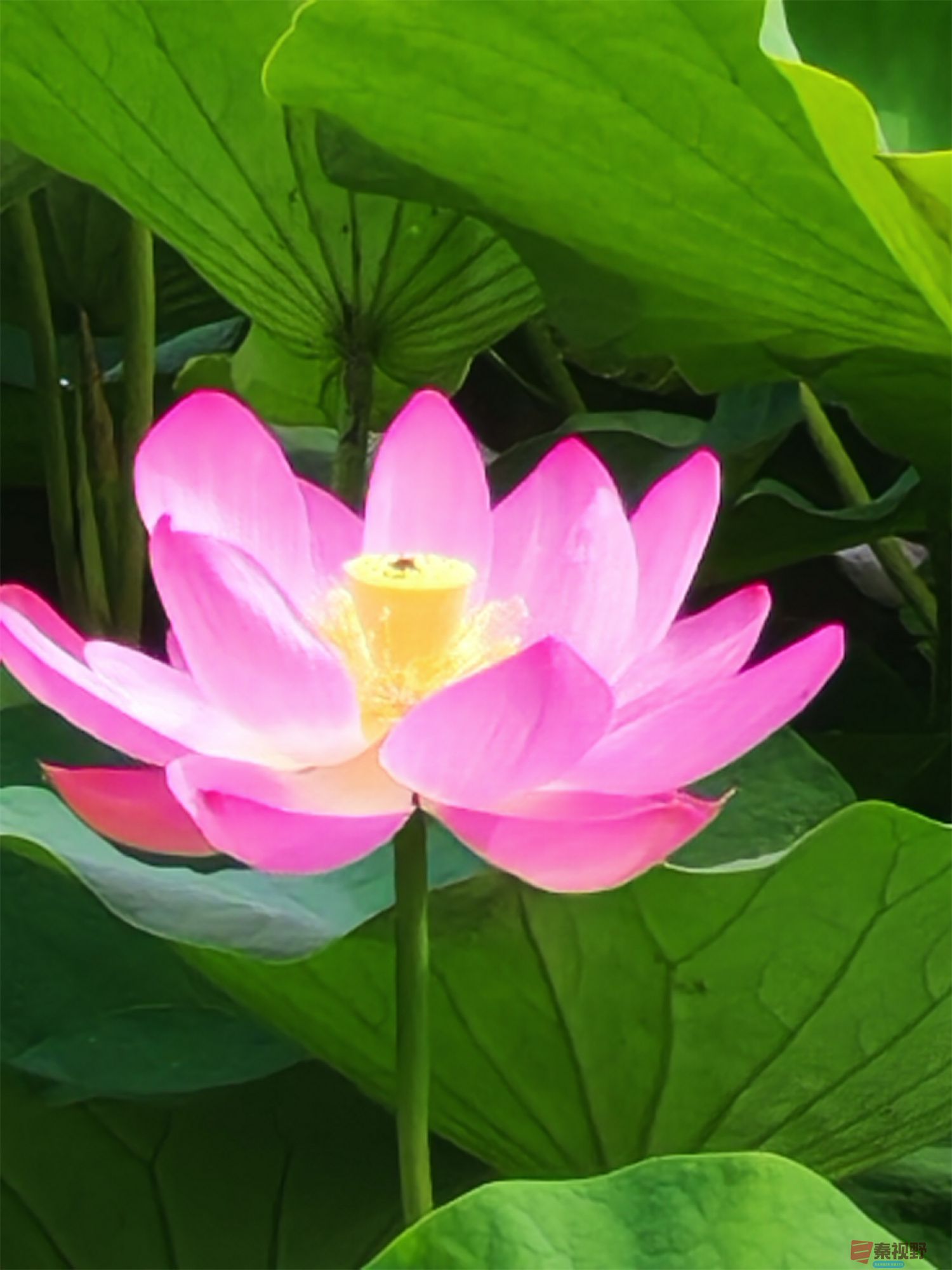压缩IMG_20250623_175221 (57).jpg
