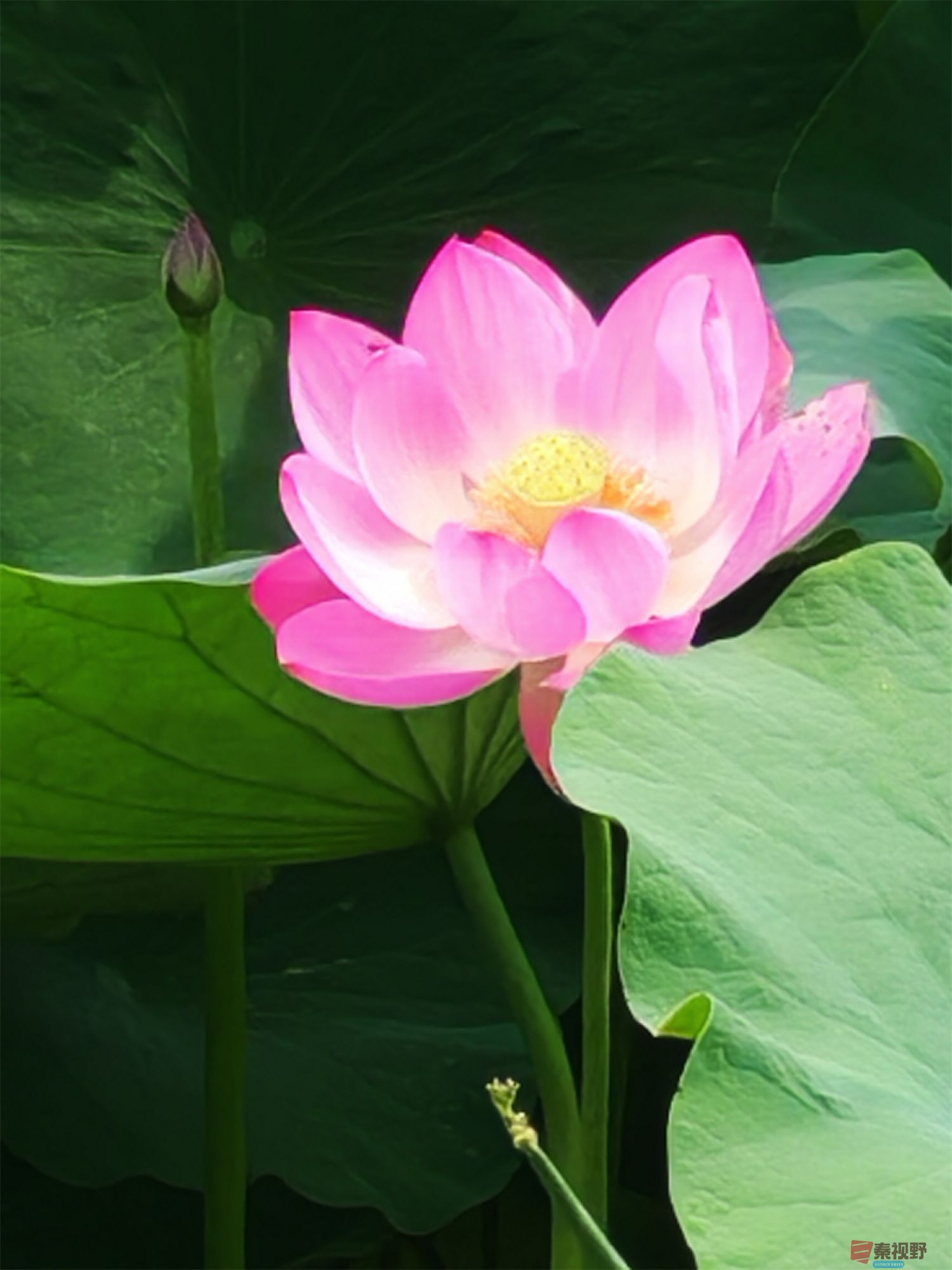 压缩IMG_20250623_175221 (60).jpg