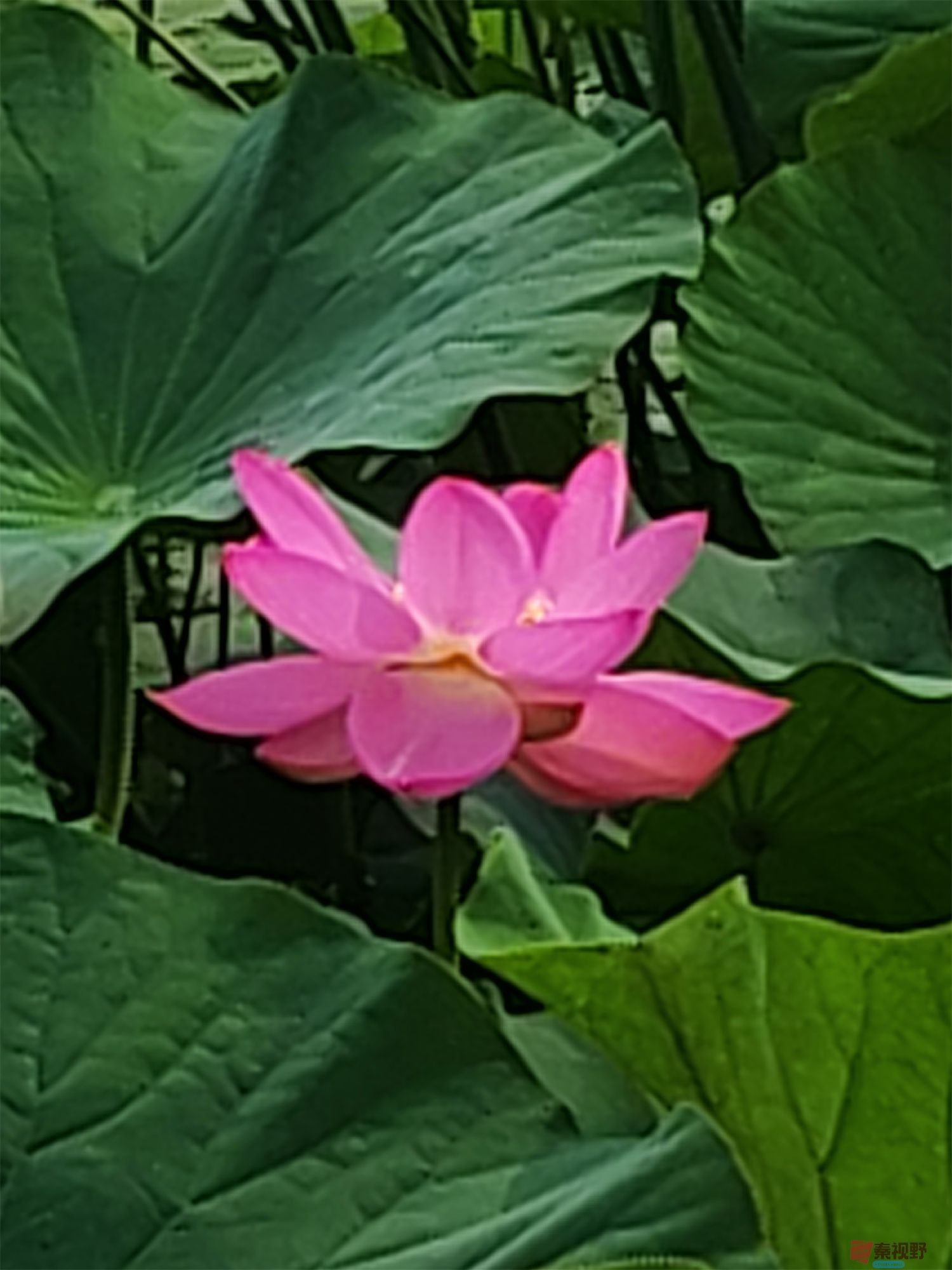 压缩IMG_20250623_175221 (64).jpg