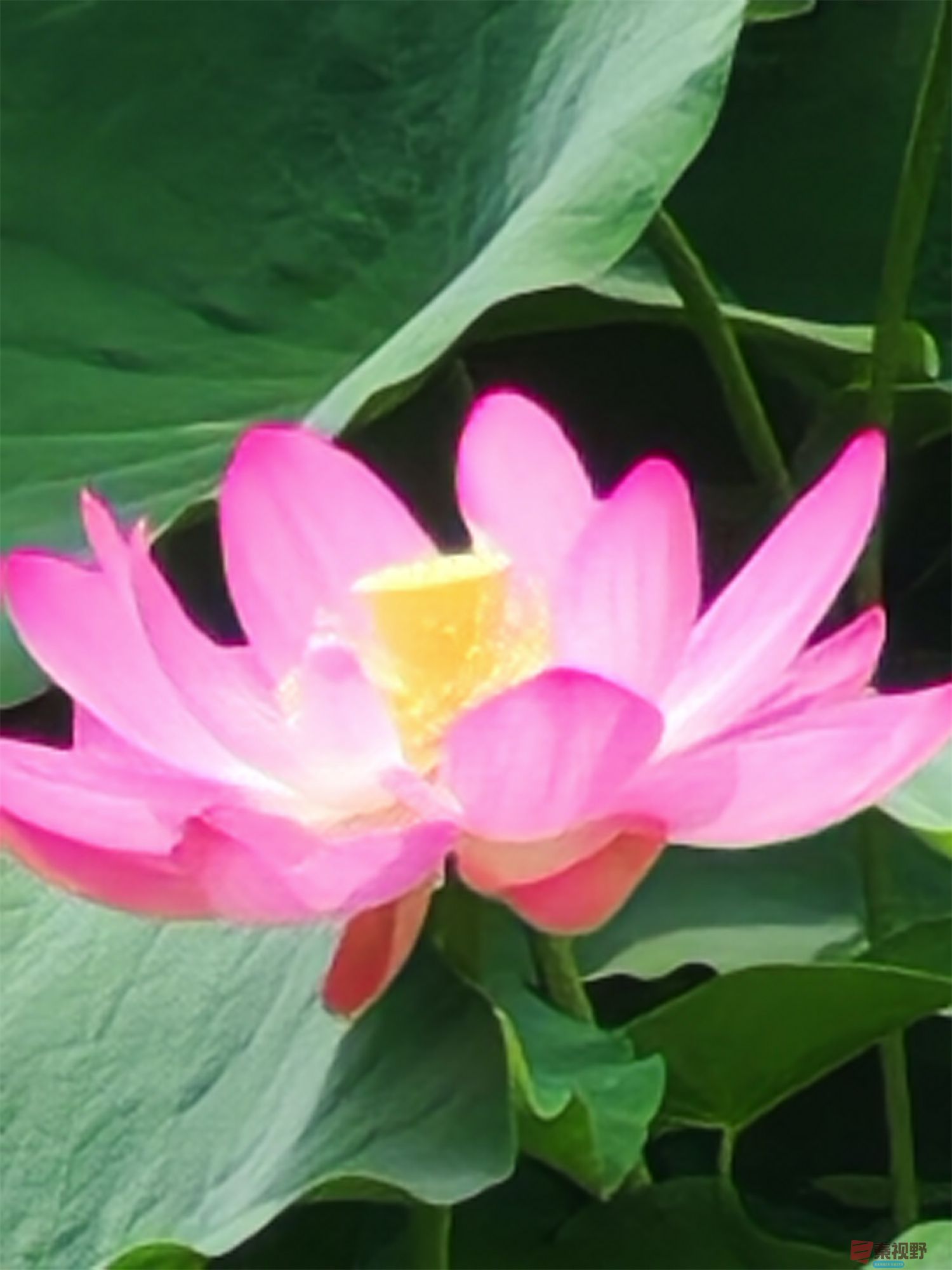 压缩IMG_20250623_175221 (80).jpg