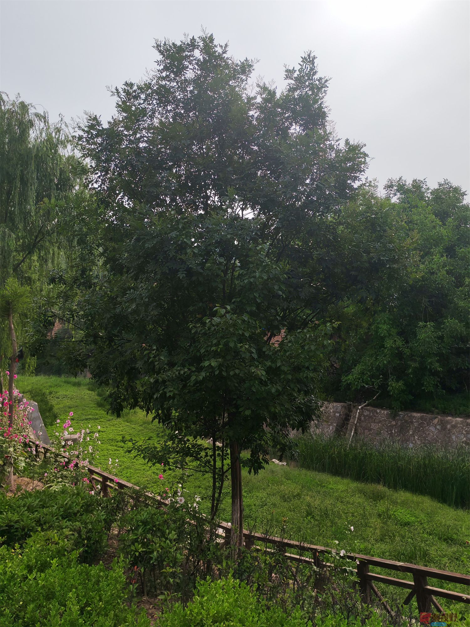 压缩IMG_20250623_175221 (37).jpg
