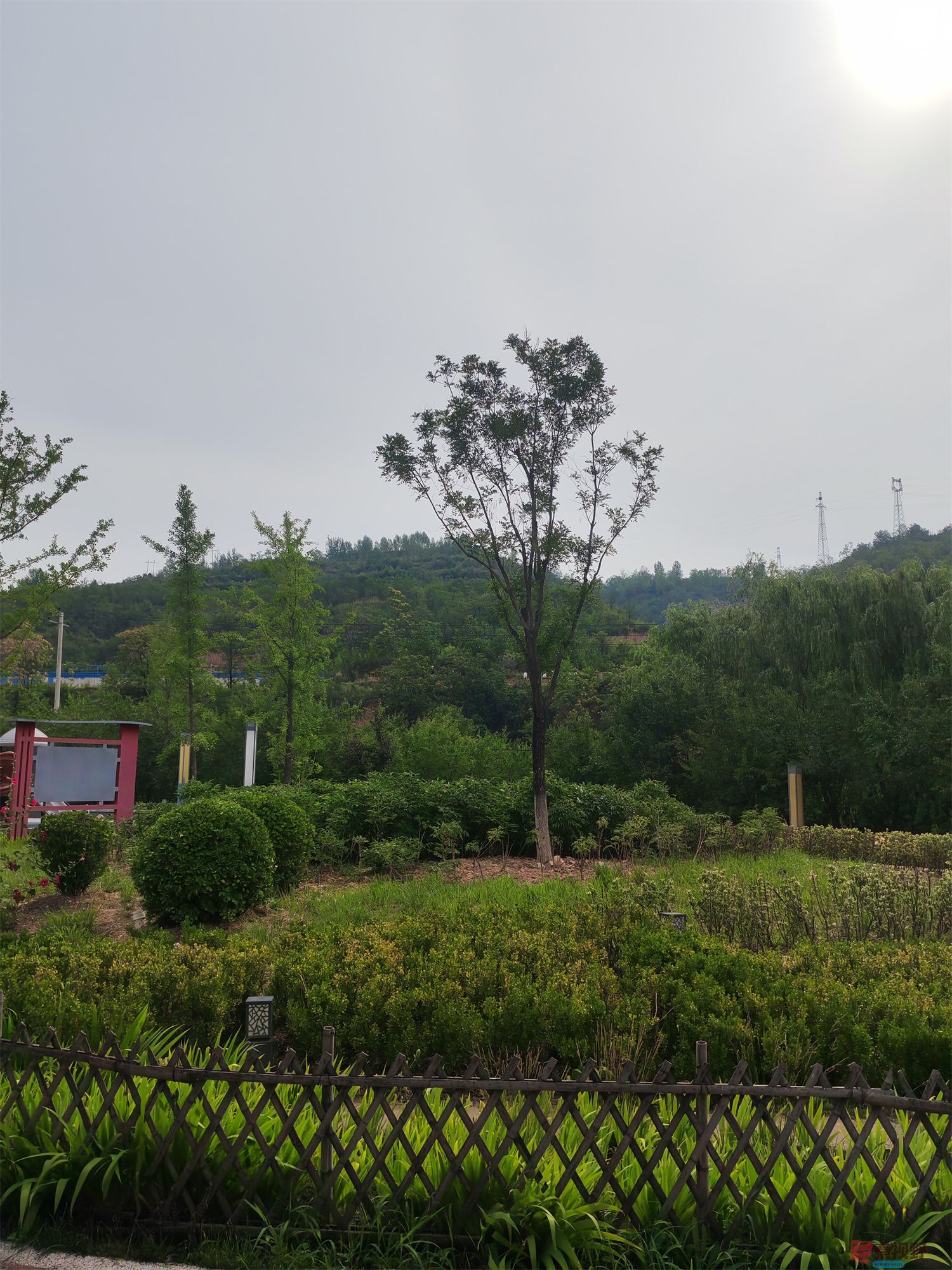 压缩IMG_20250623_175221 (43).jpg
