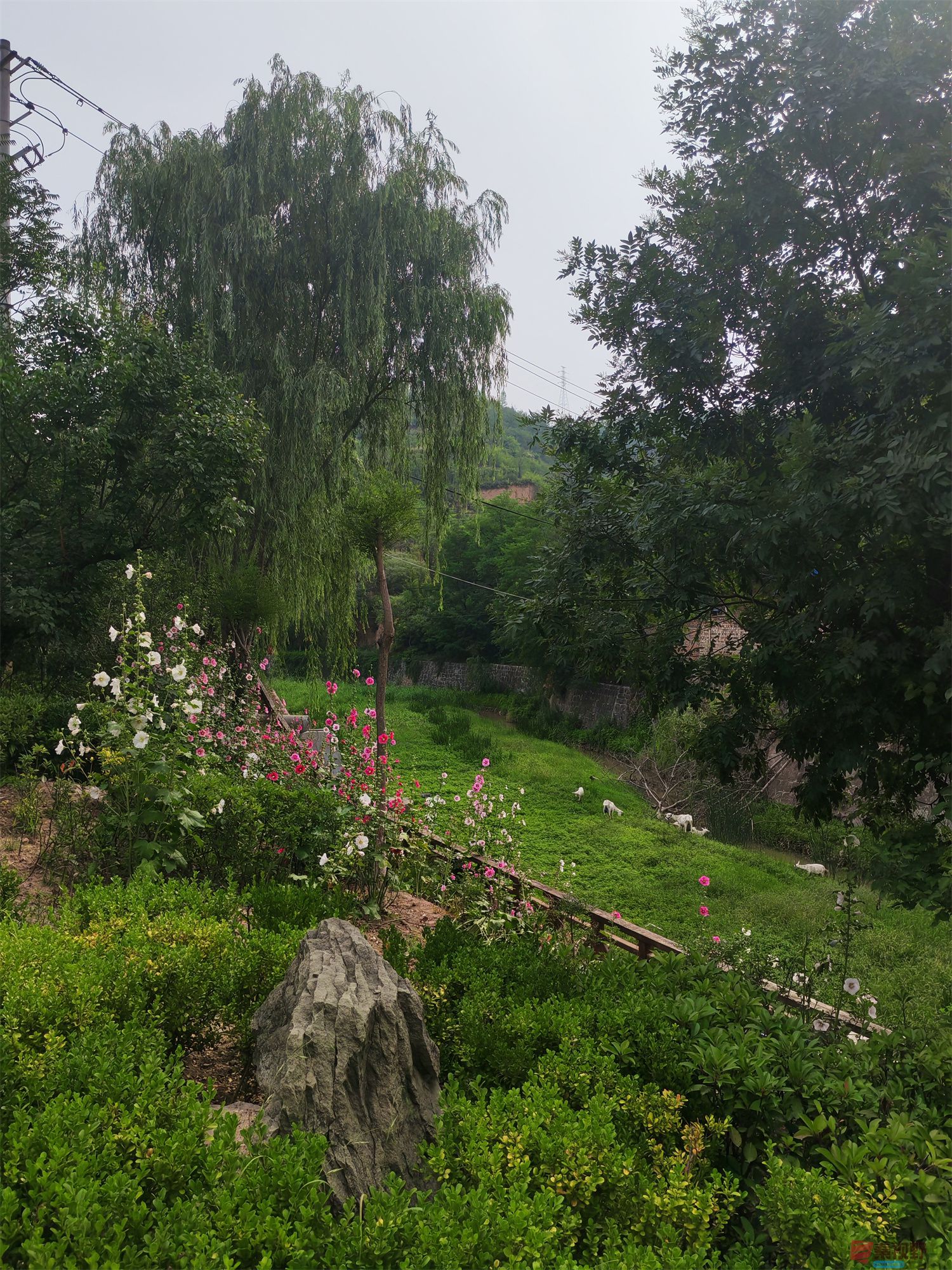 压缩IMG_20250623_175221 (38).jpg