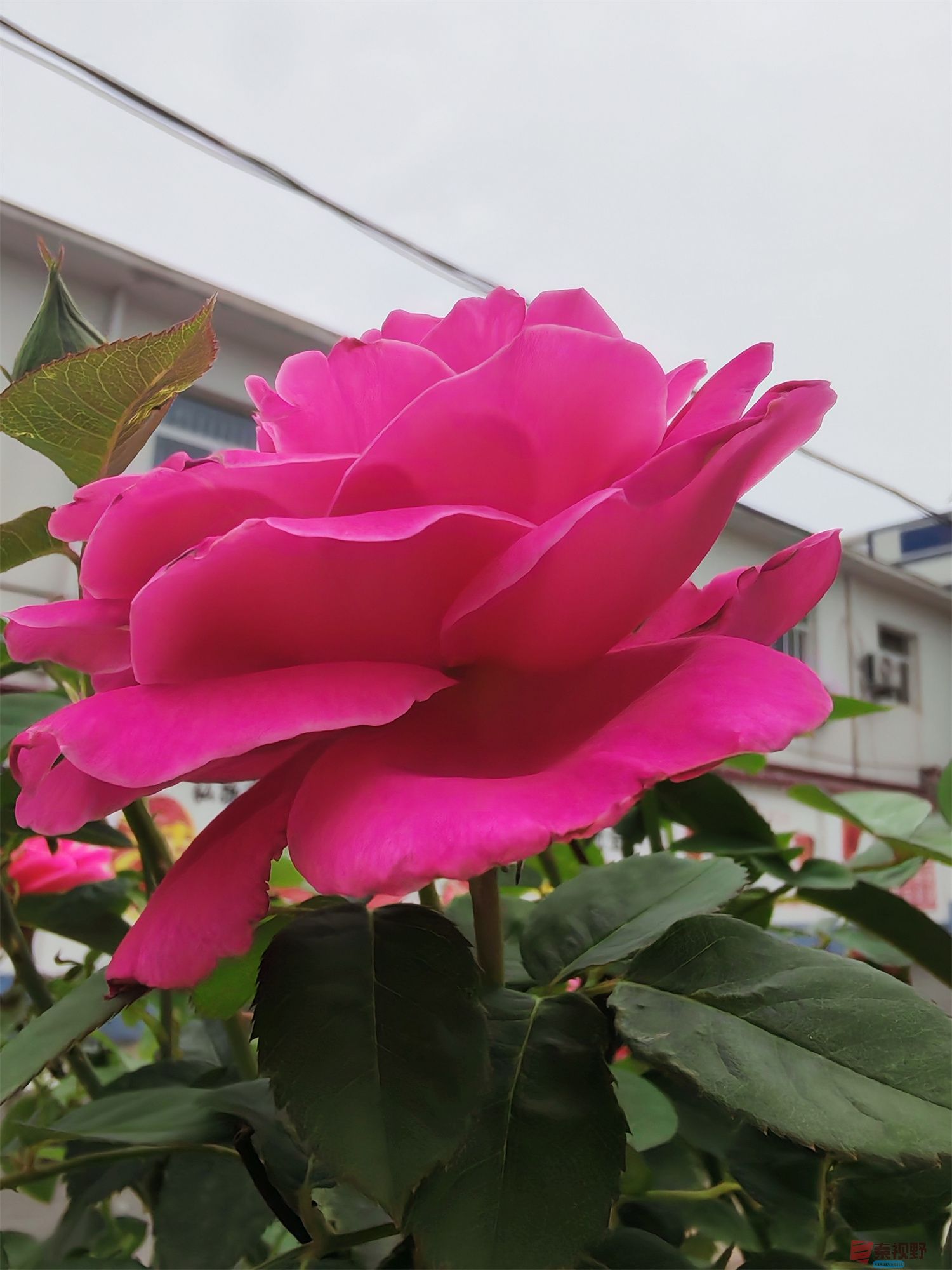 IMG_20250624_132750压缩 (2).jpg