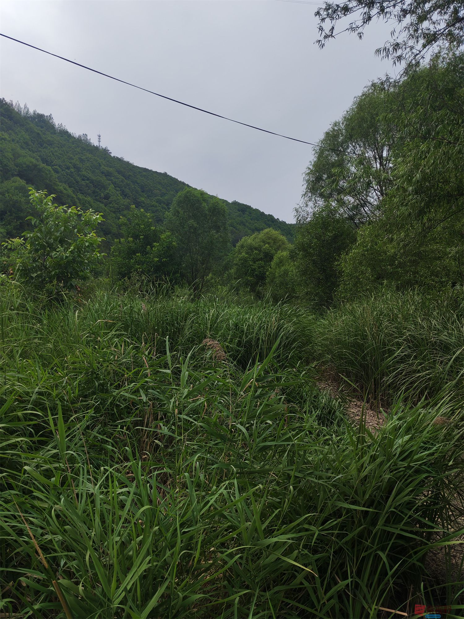 IMG_20250624_132750压缩 (29).jpg