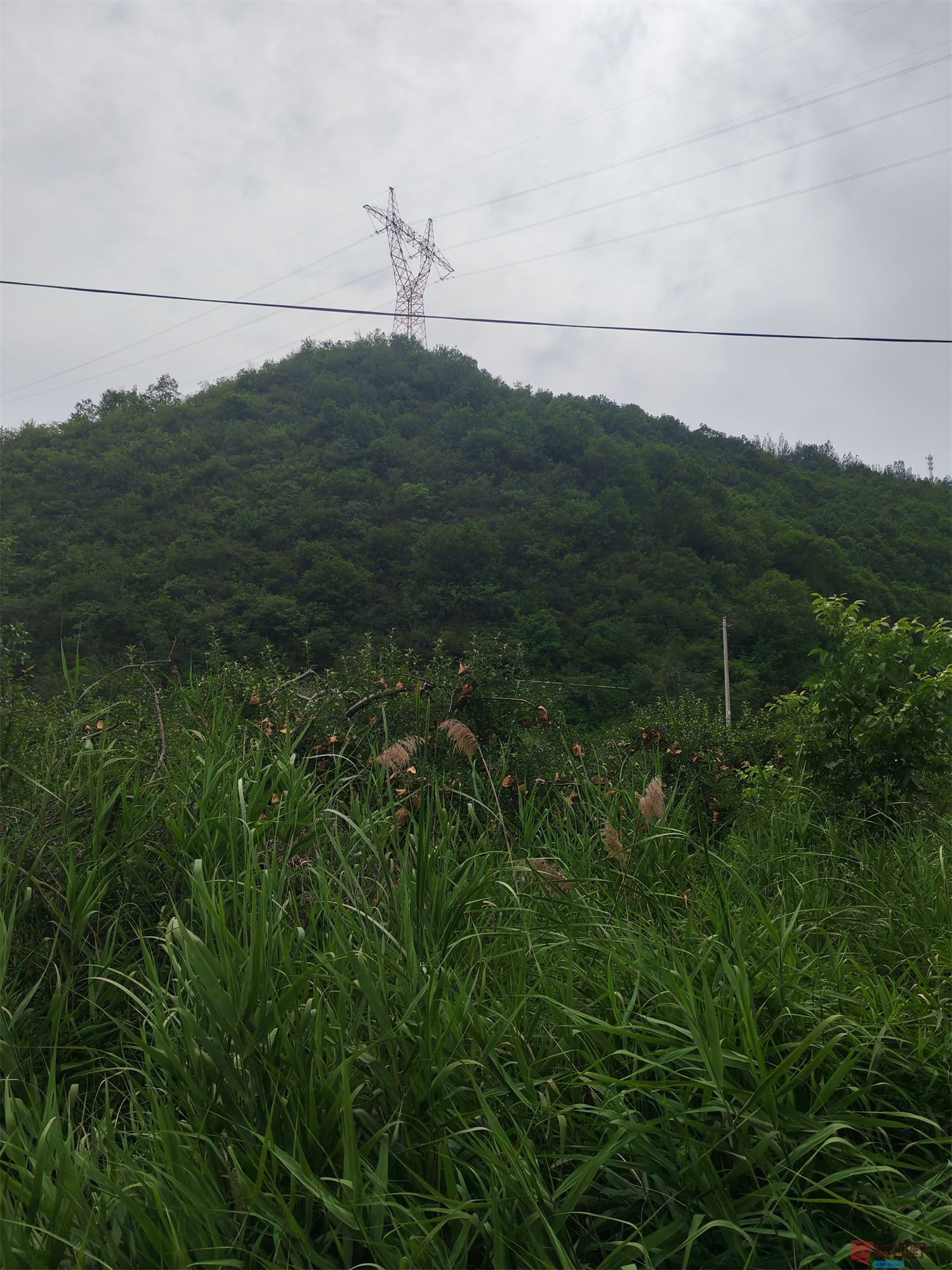 IMG_20250624_132750压缩 (30).jpg