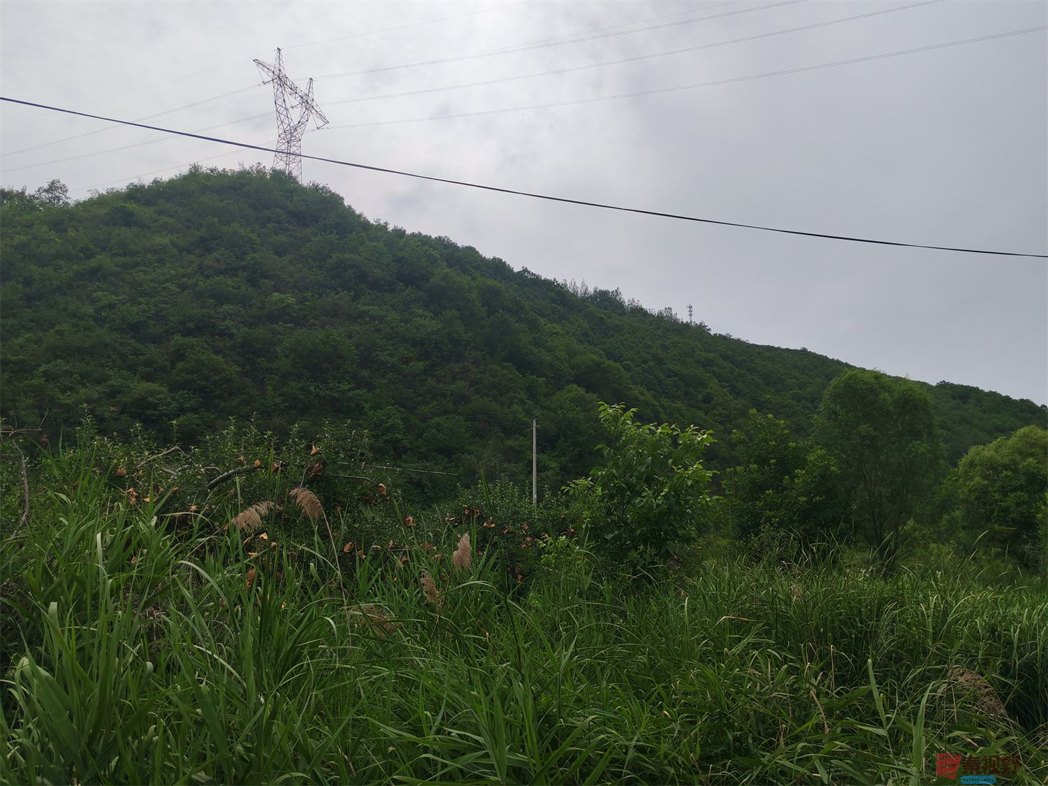 IMG_20250624_132750压缩 (31).jpg