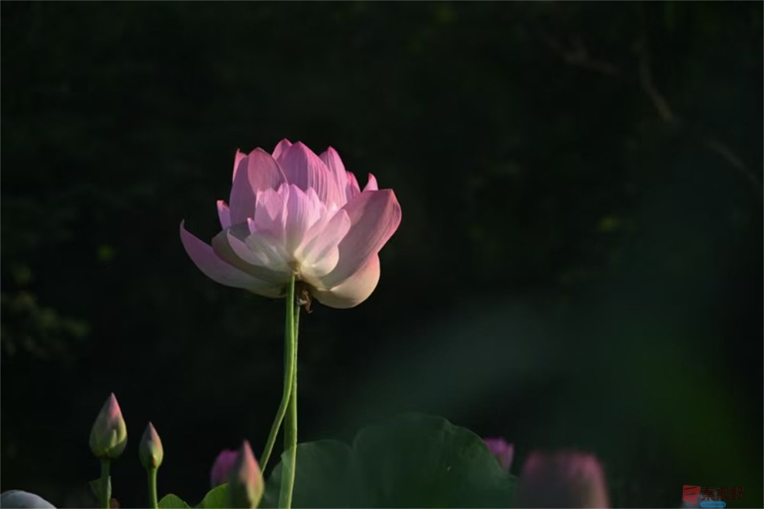 罗文海压缩_20250627103724 (1).jpg