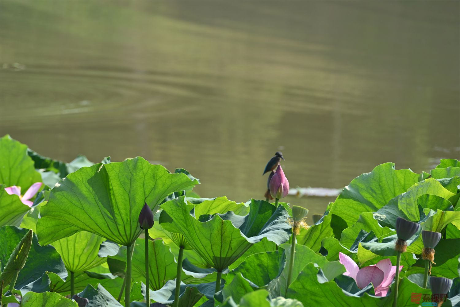 罗文海压缩_20250627103724 (10).jpg