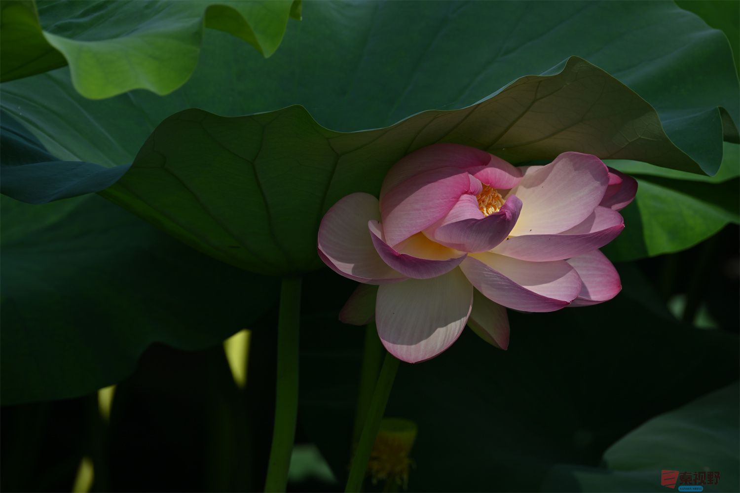 罗文海压缩_20250627103724 (18).jpg