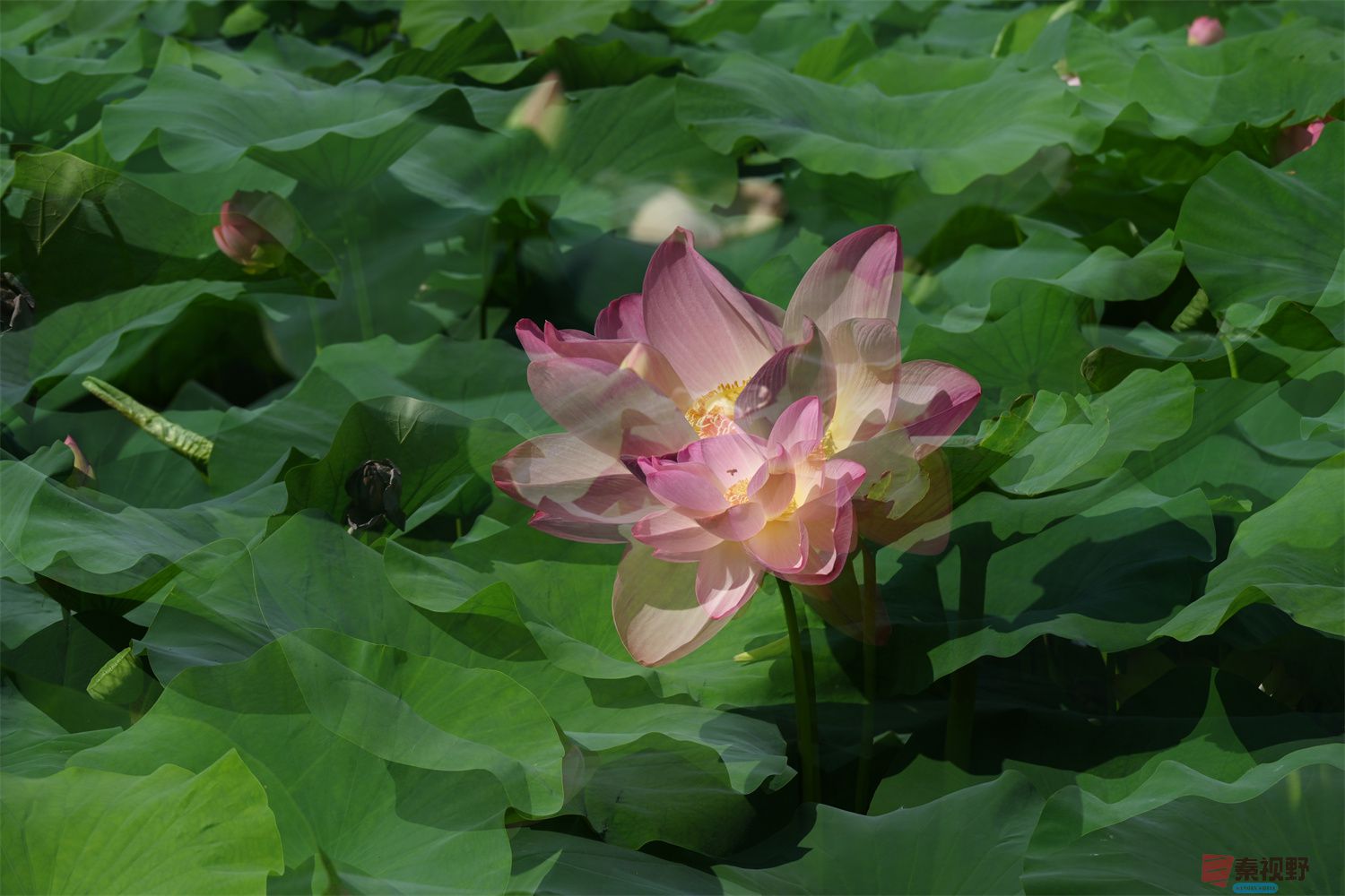 罗文海压缩_20250627103724 (21).jpg