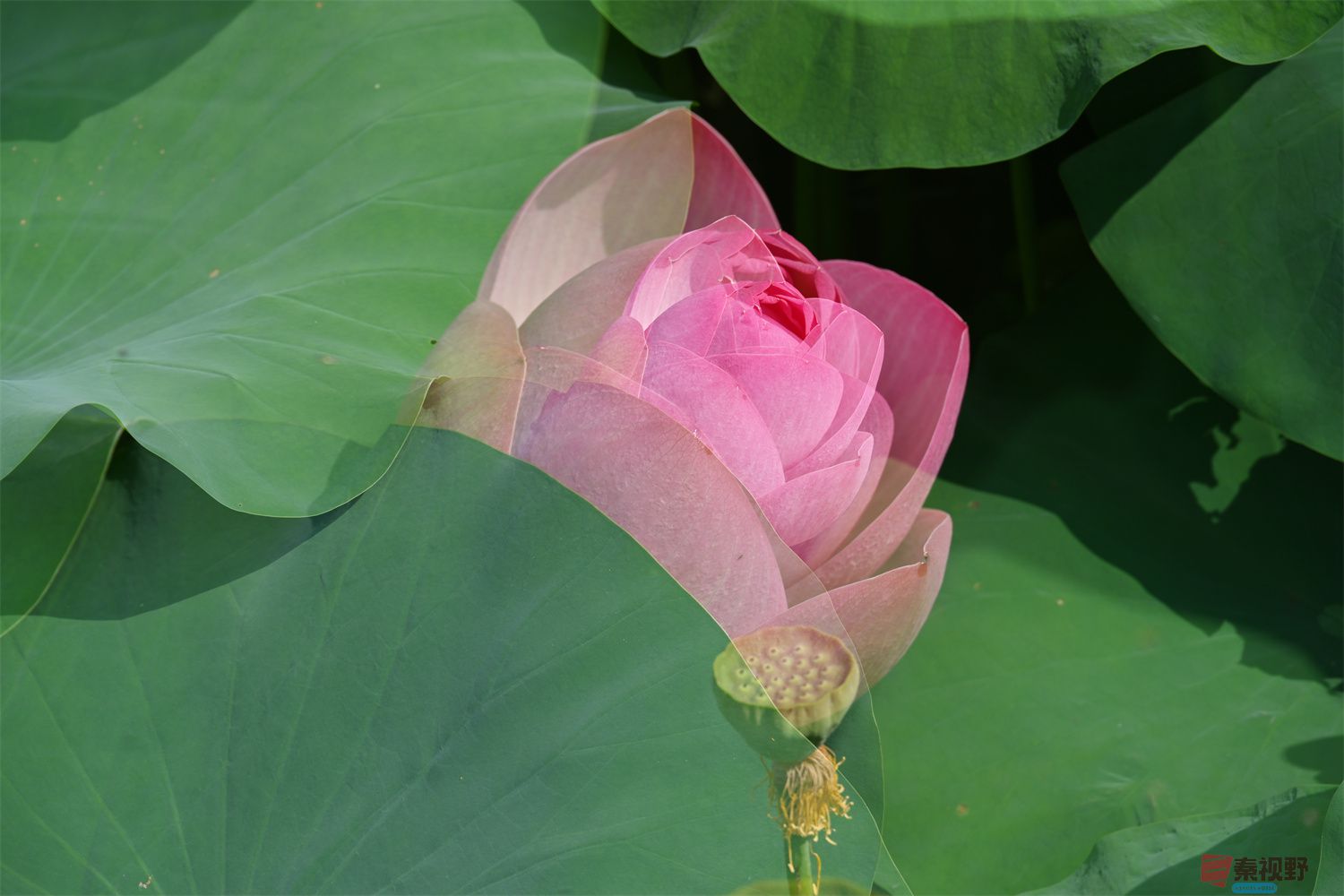 罗文海压缩_20250627103724 (25).jpg