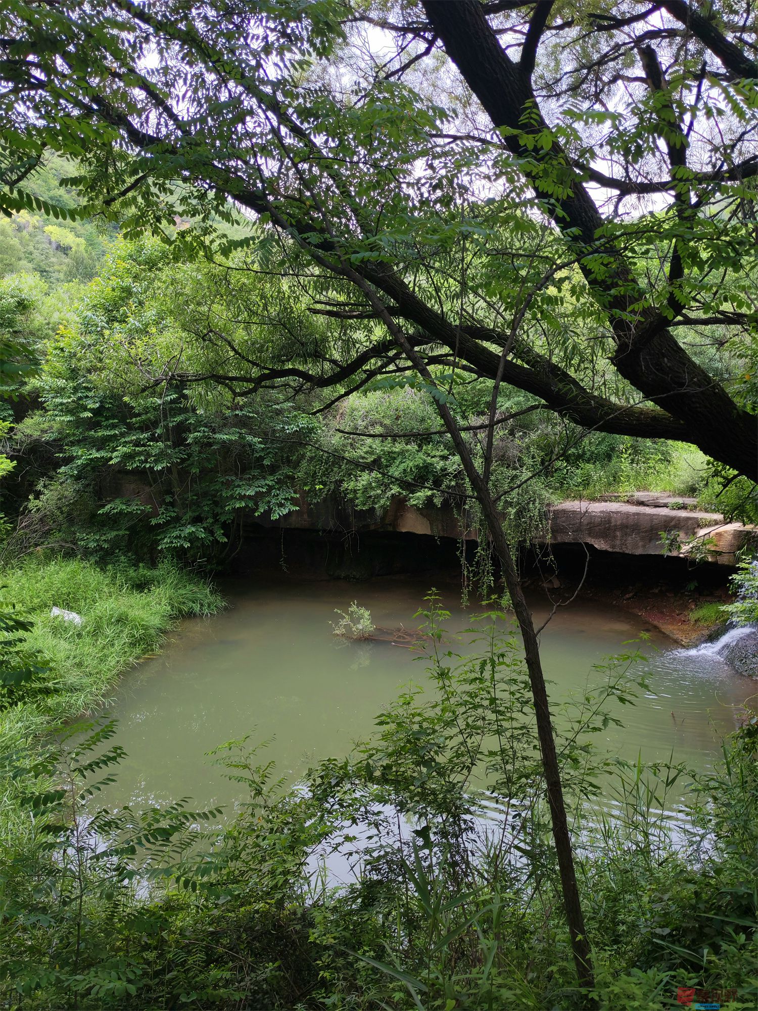 IMG_20250625_182226压缩 (12).jpg