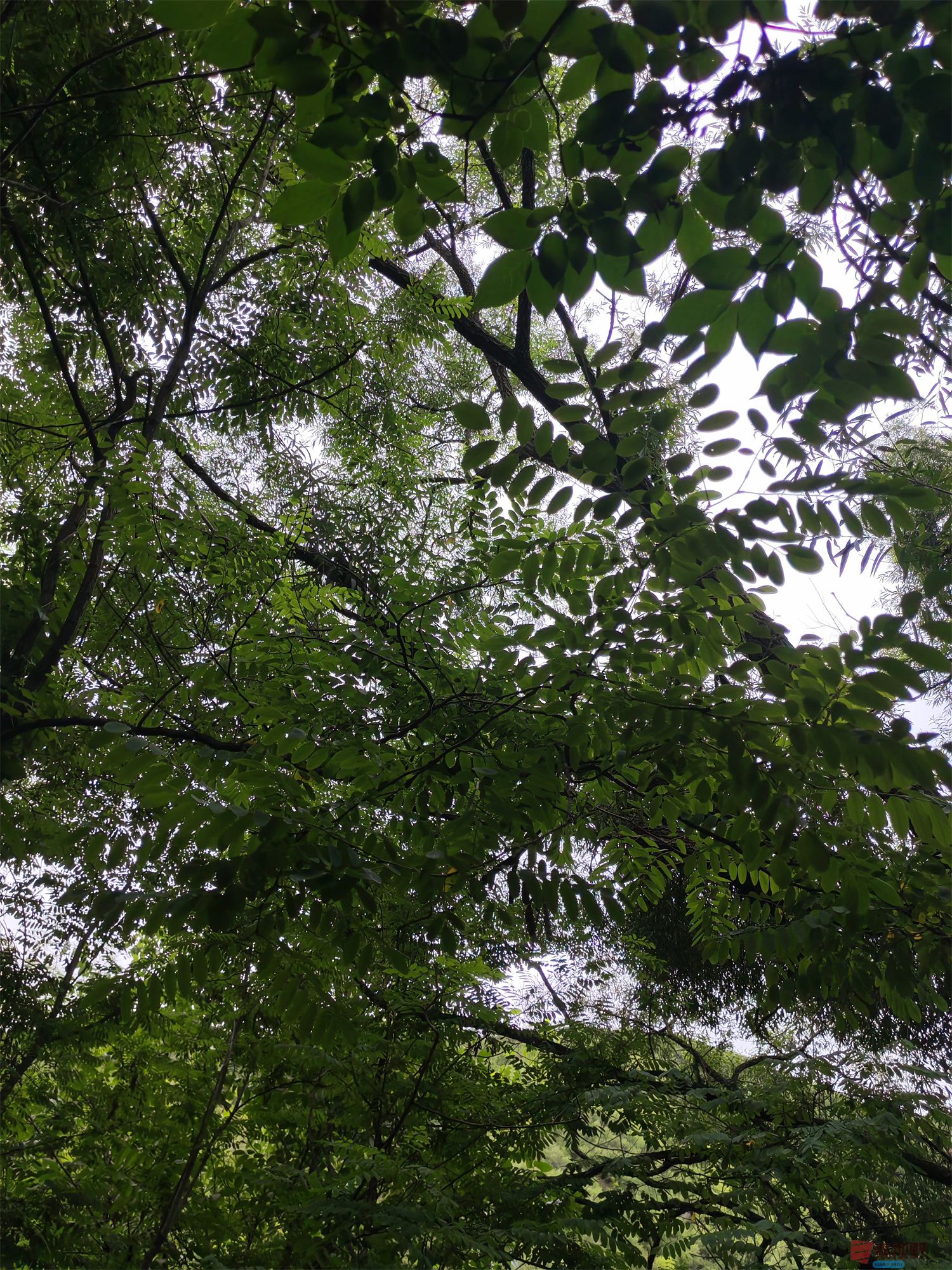 IMG_20250625_182226压缩 (15).jpg