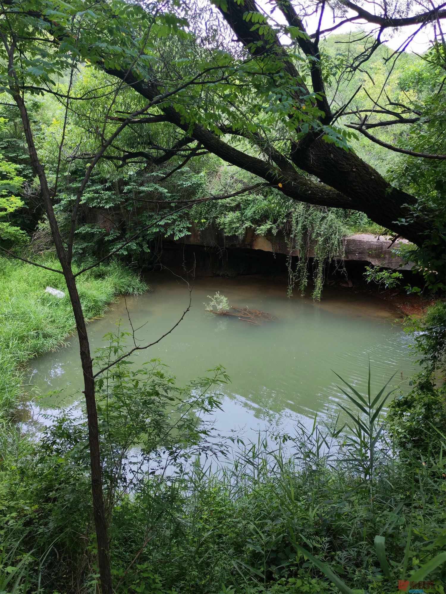 IMG_20250625_182226压缩 (16).jpg