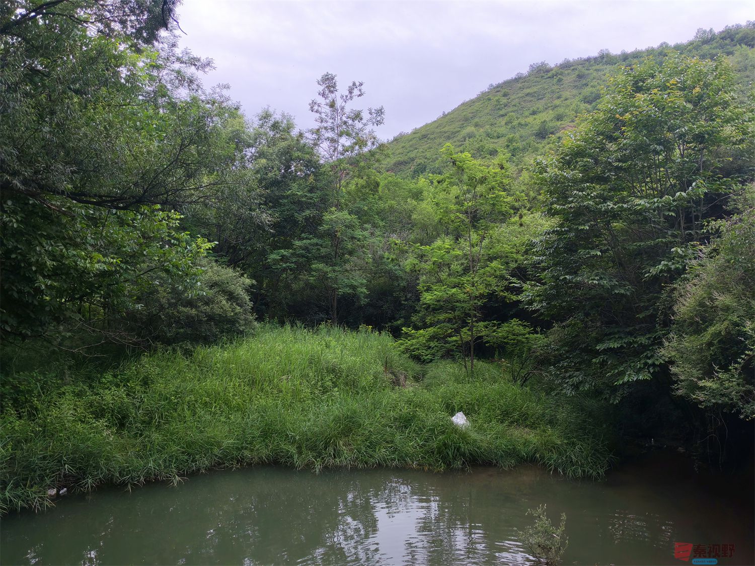 IMG_20250625_182226压缩 (18).jpg