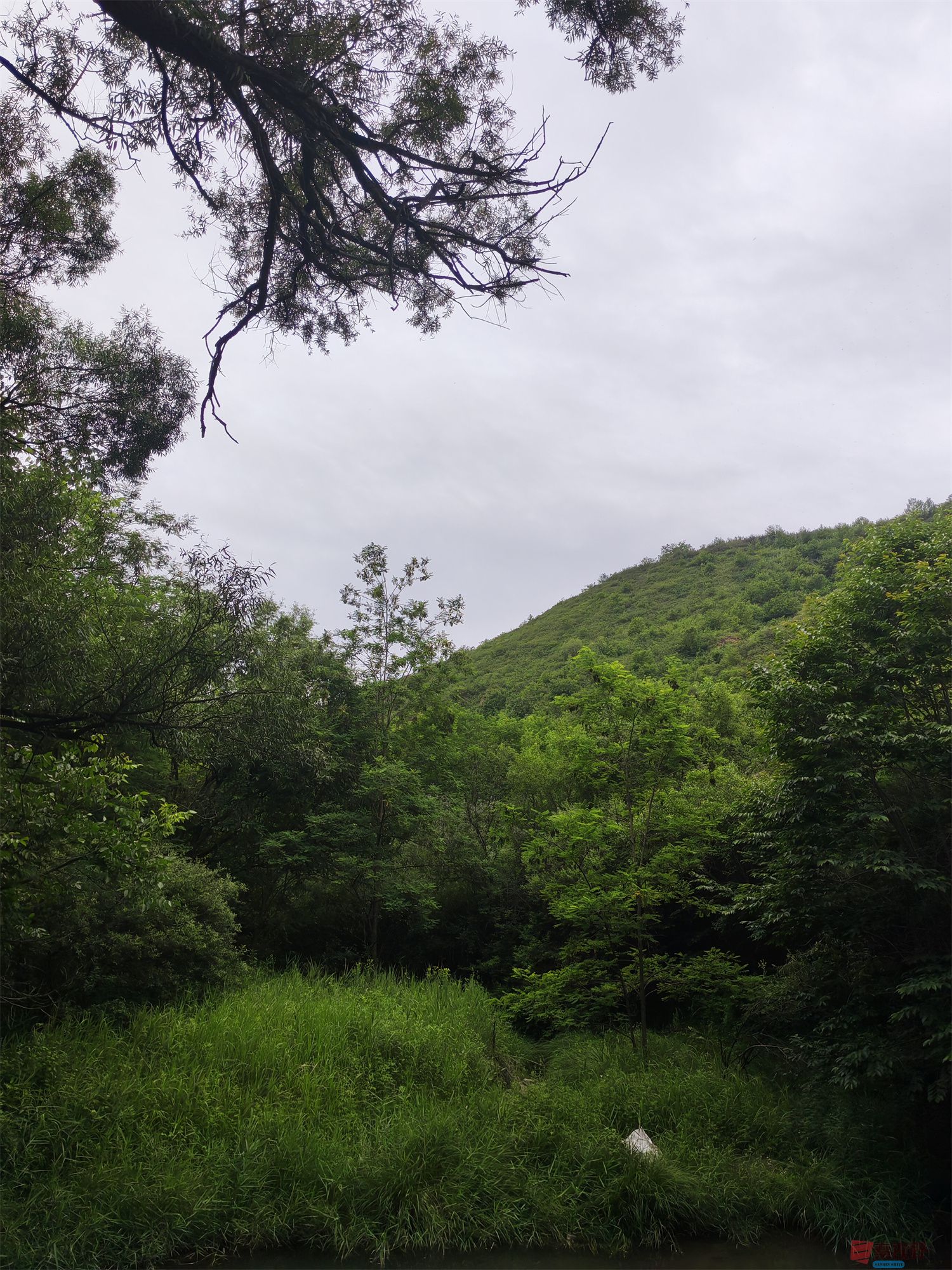 IMG_20250625_182226压缩 (20).jpg