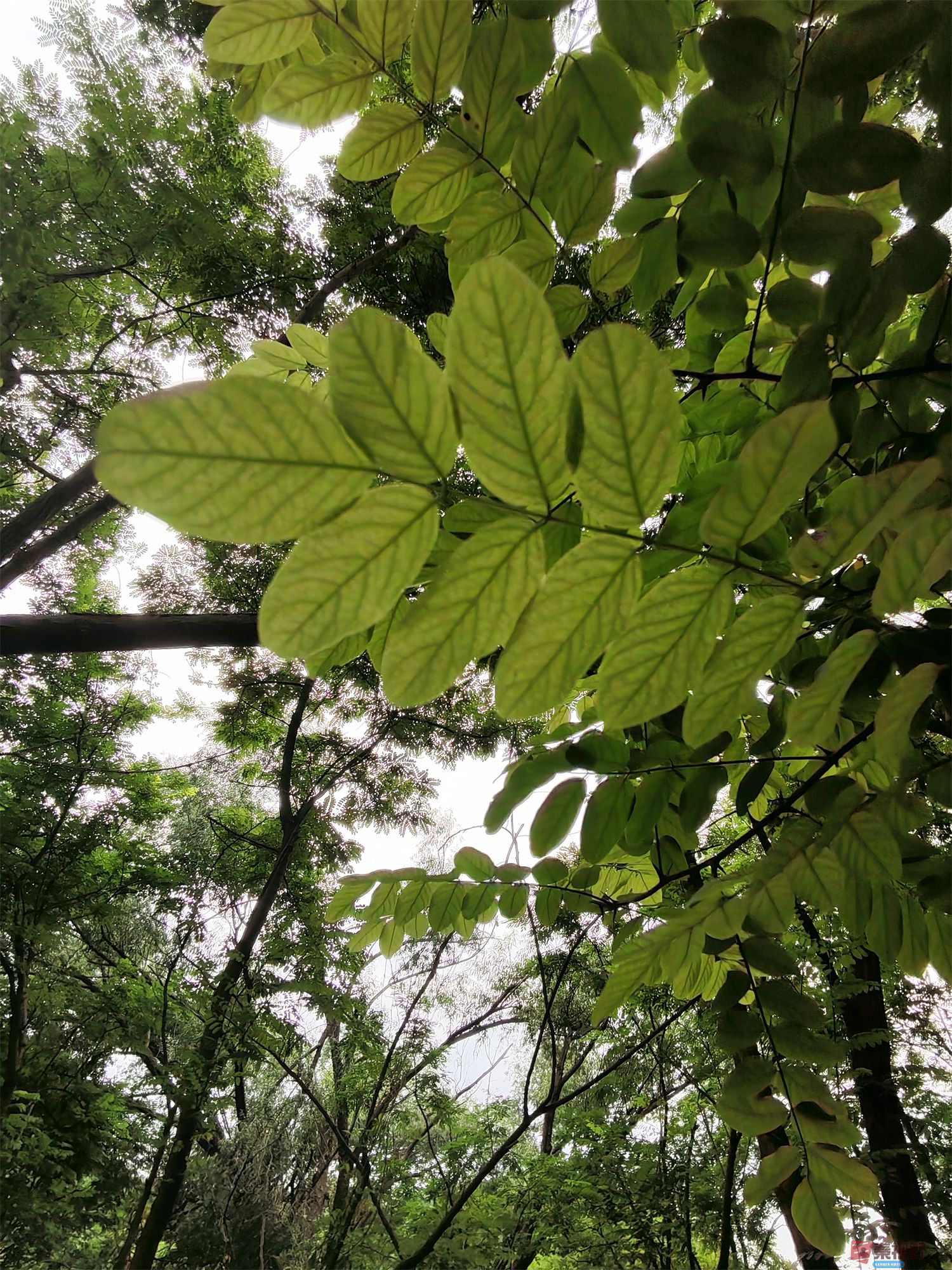 IMG_20250625_182226压缩 (37).jpg
