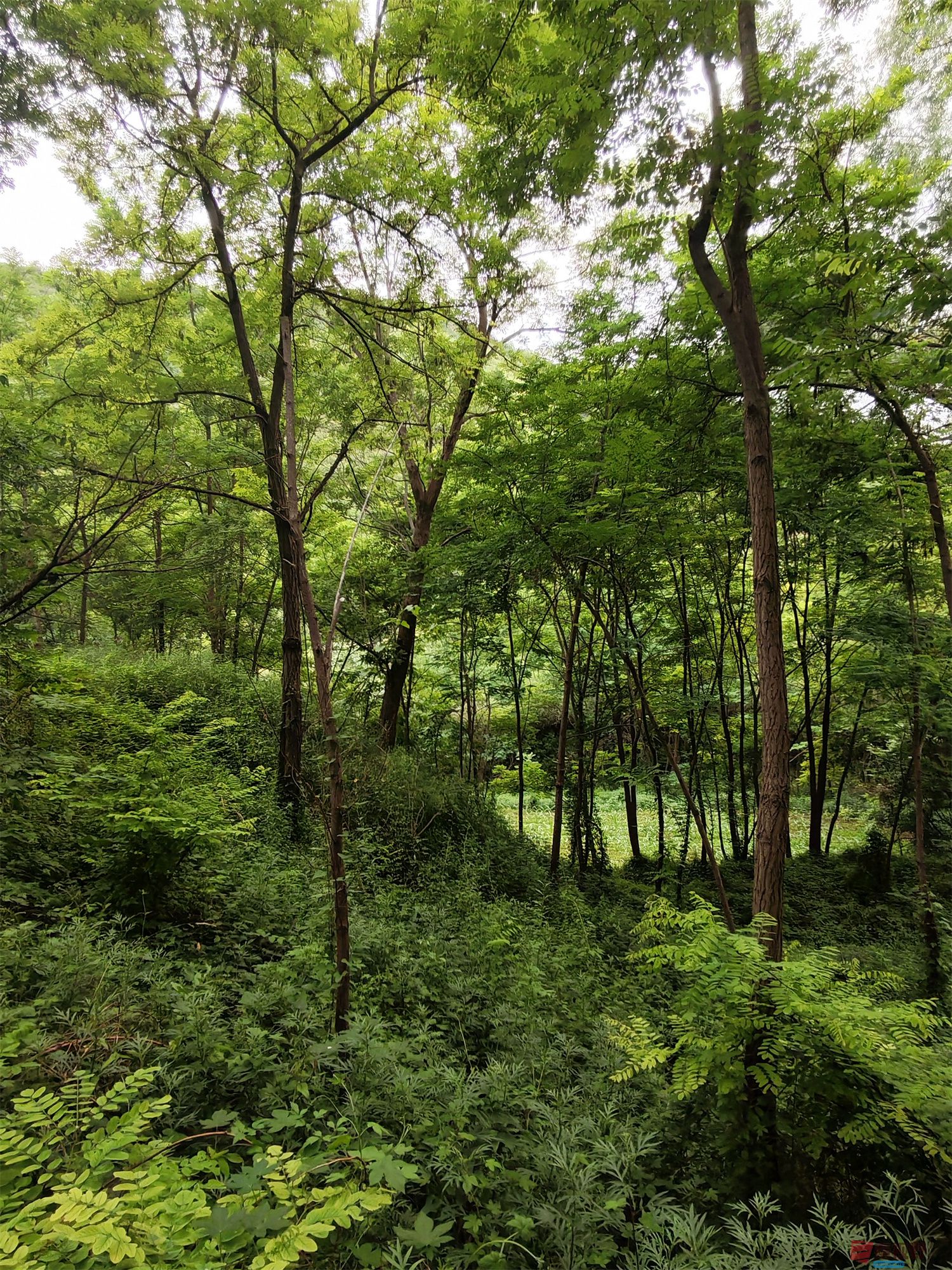 IMG_20250625_182226压缩 (39).jpg