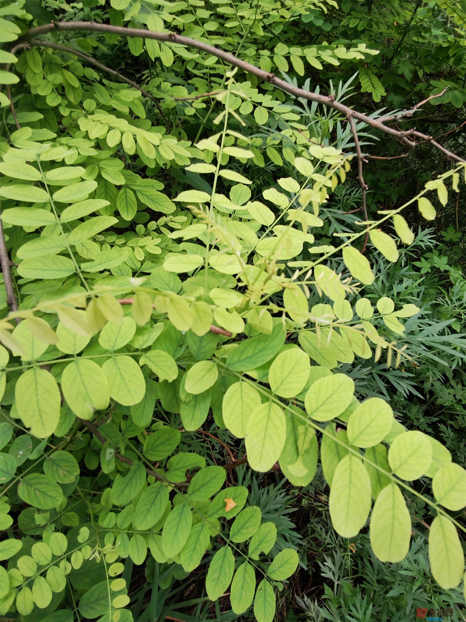 IMG_20250625_182226压缩 (40).jpg