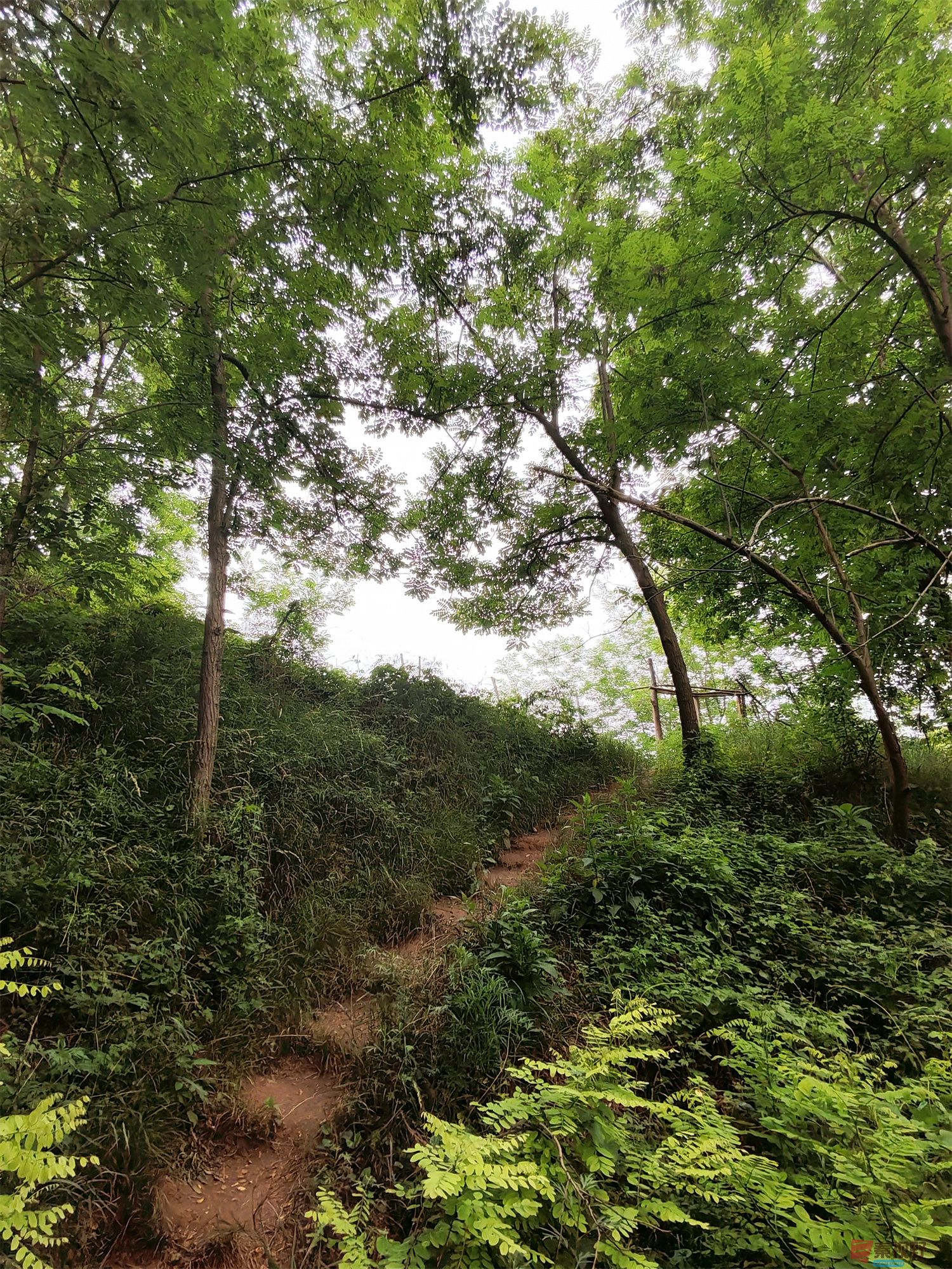 IMG_20250625_182226压缩 (42).jpg
