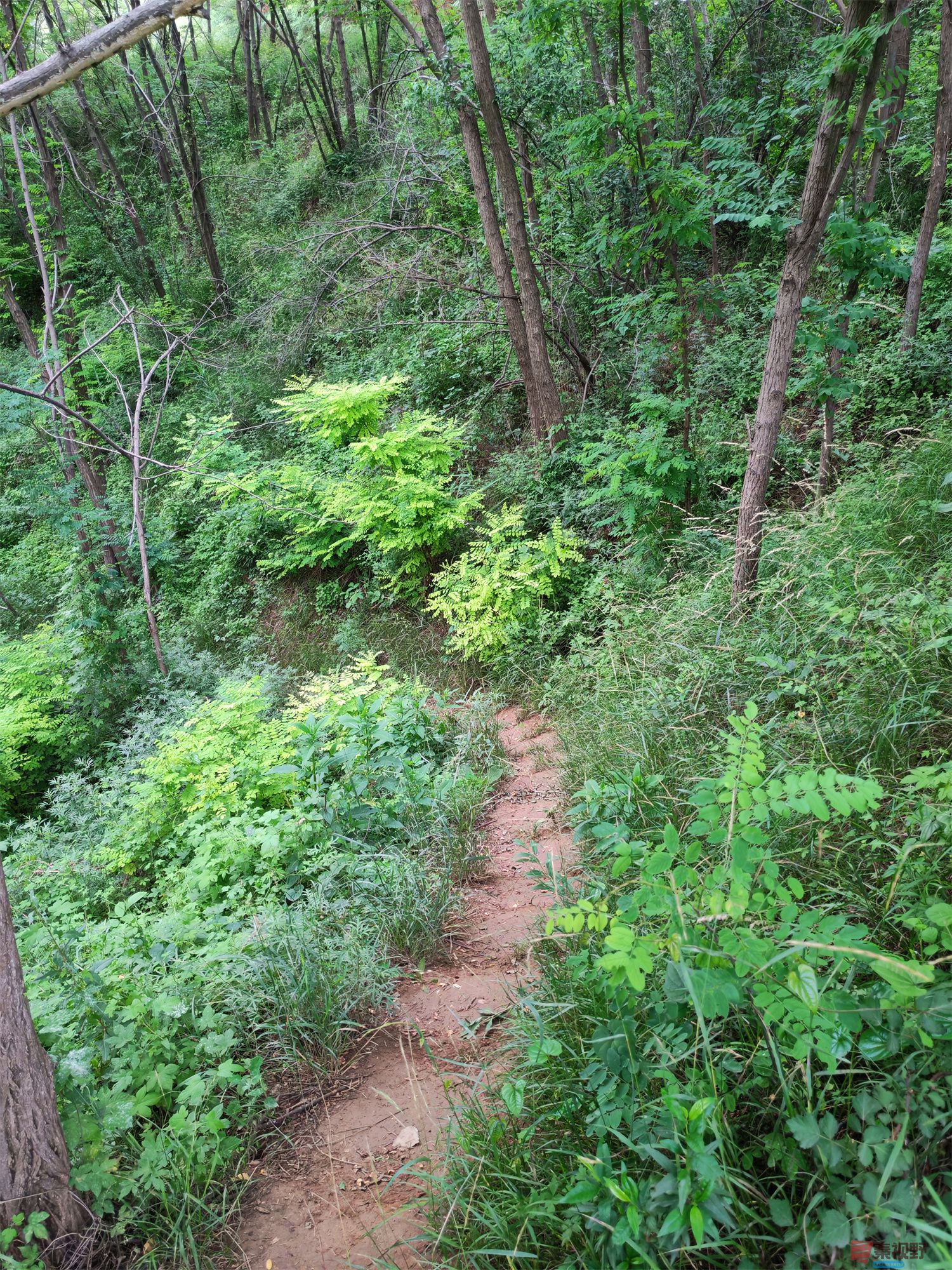 IMG_20250625_182226压缩 (47).jpg