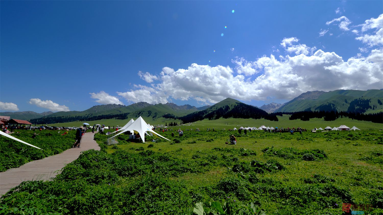黄风升压缩_20250627233105 (3).jpg