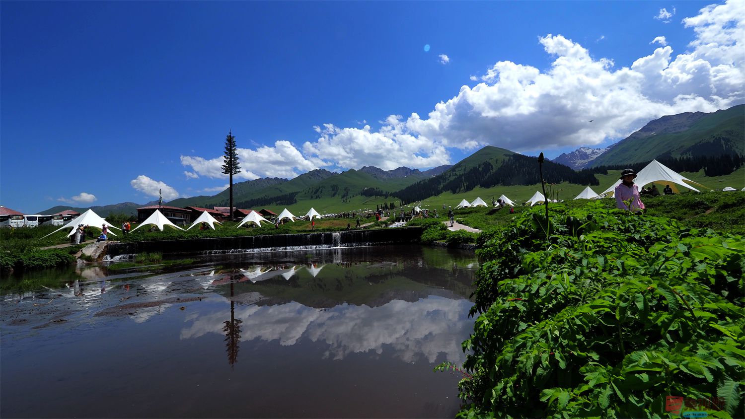 黄风升压缩_20250627233105 (1).jpg