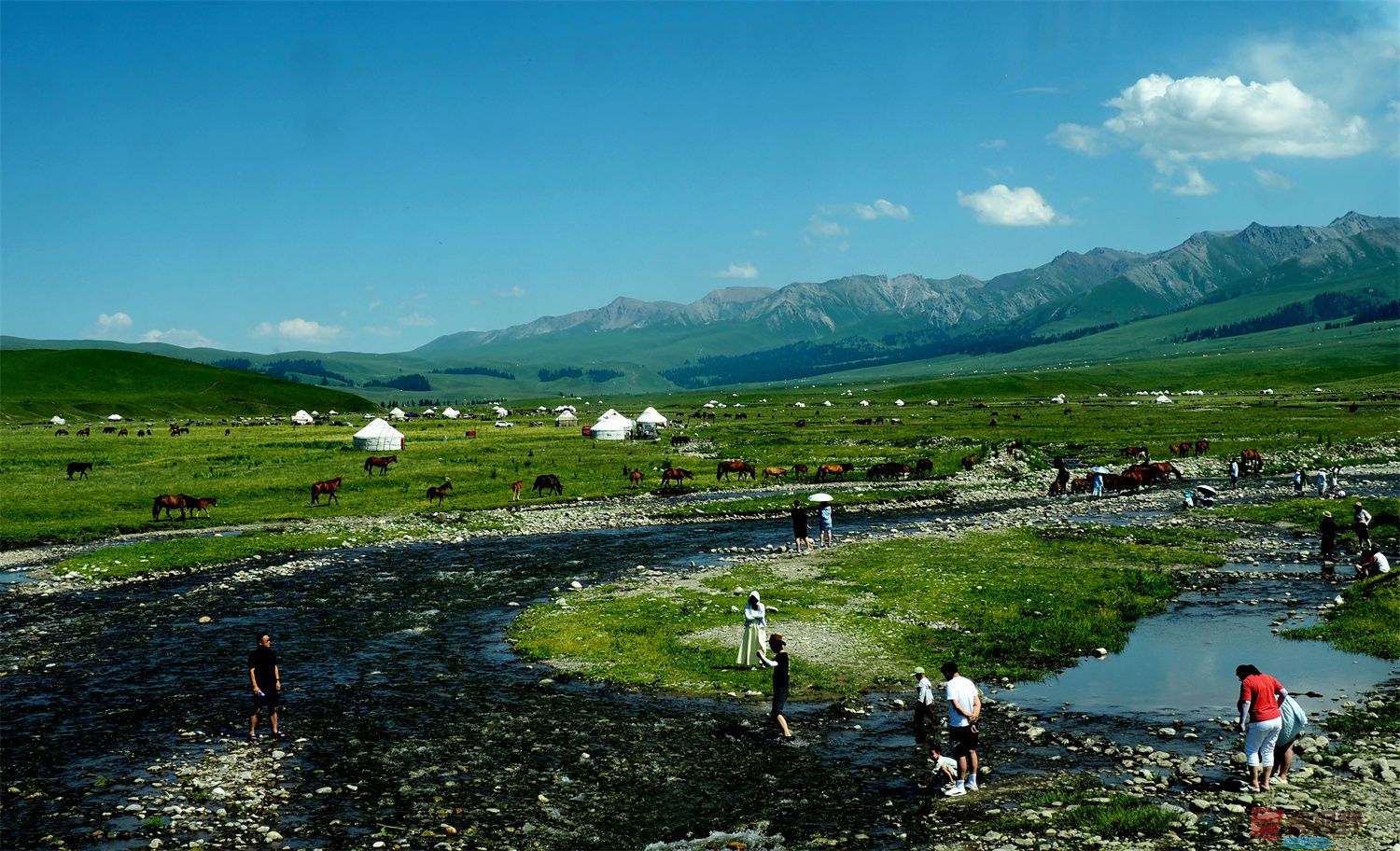 黄风升压缩_20250627233105 (11).jpg
