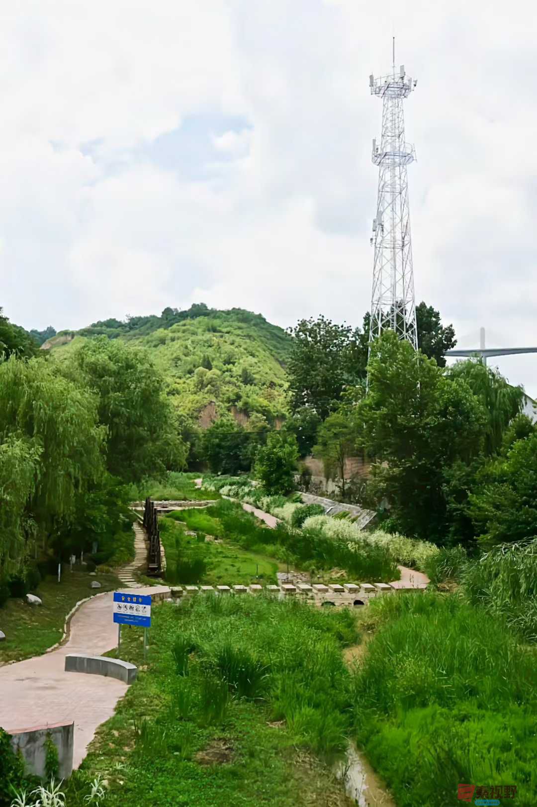 酷暑中的清凉