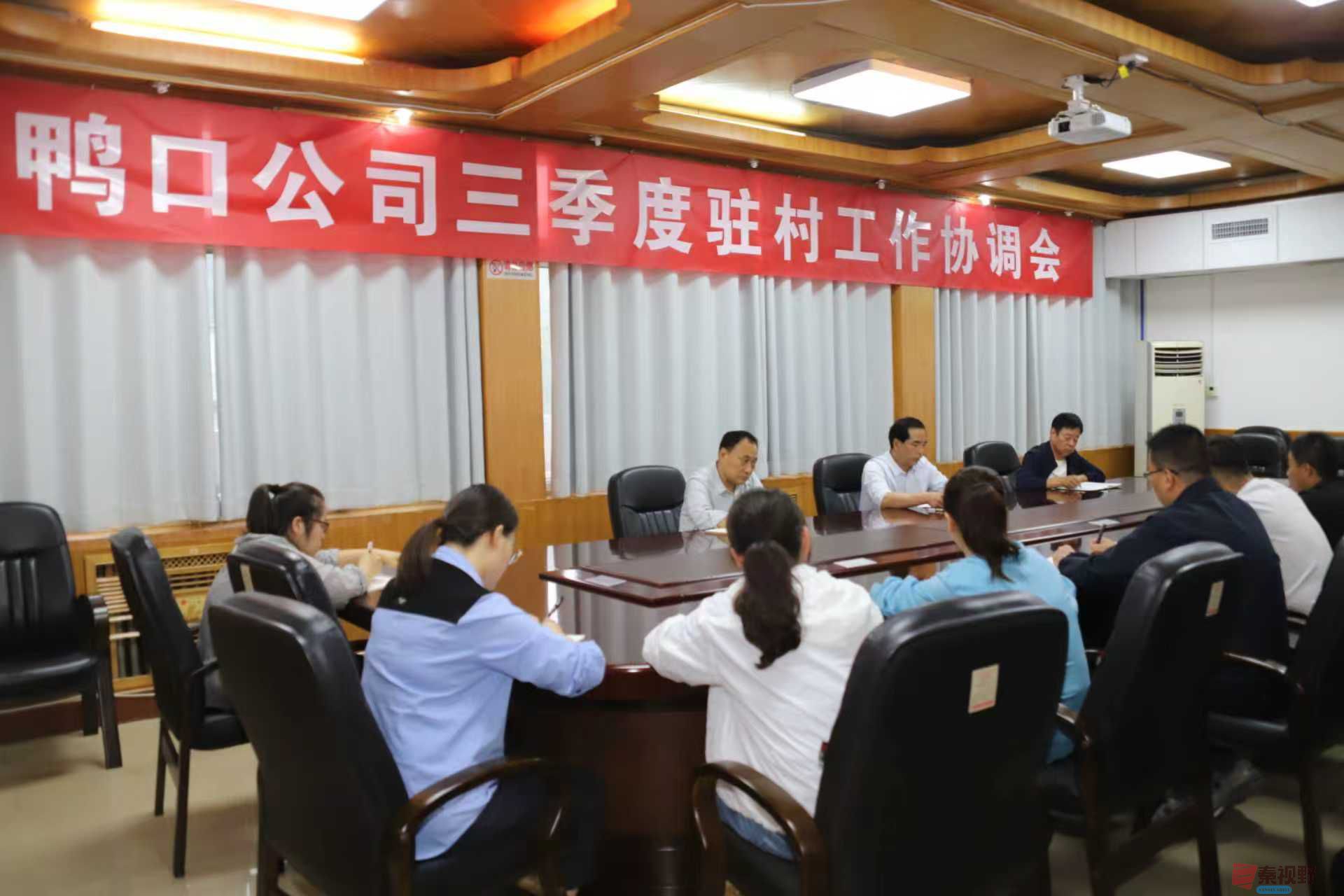 <strong>陕西铜川鸭口公司：统筹协调驻村工作 谱写乡村振兴篇章</strong>