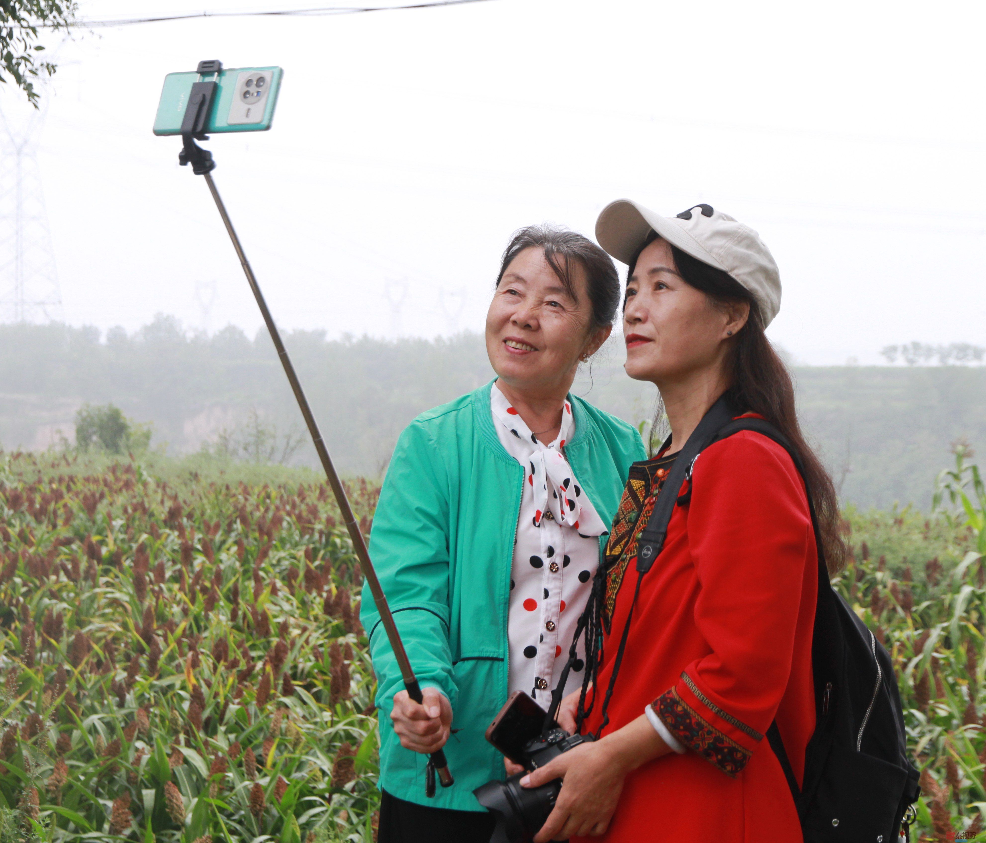 微信图片_20250916222500_1205_104.jpg