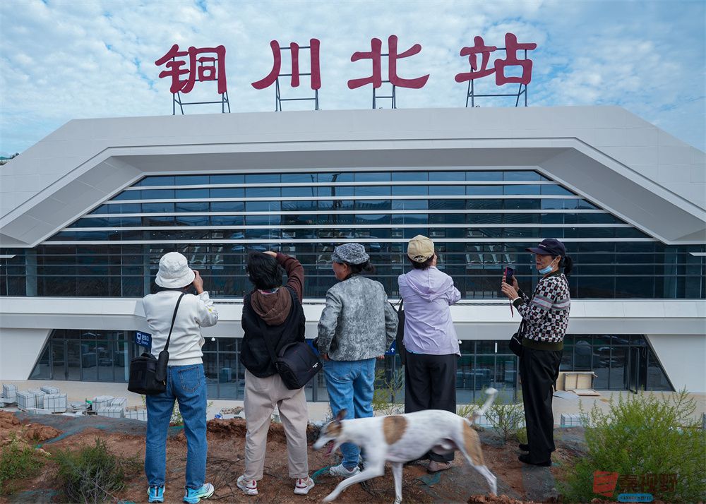 张巧玲压缩20252092103.jpg