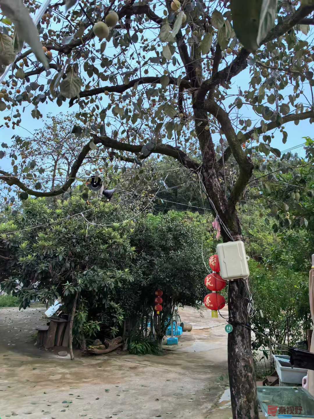 微信图片_2025-09-28_100234_695.jpg