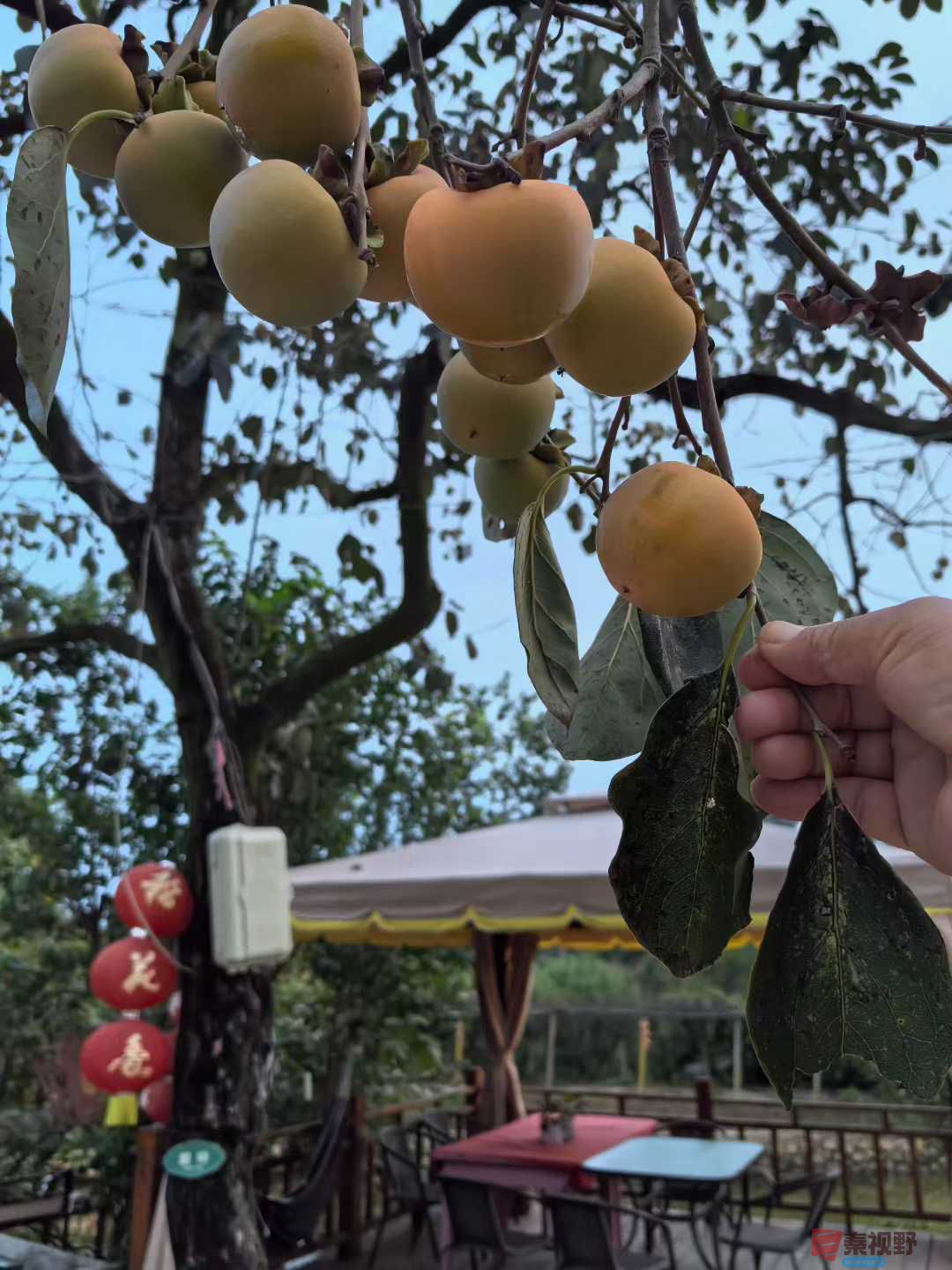 微信图片_2025-09-28_100229_179.jpg