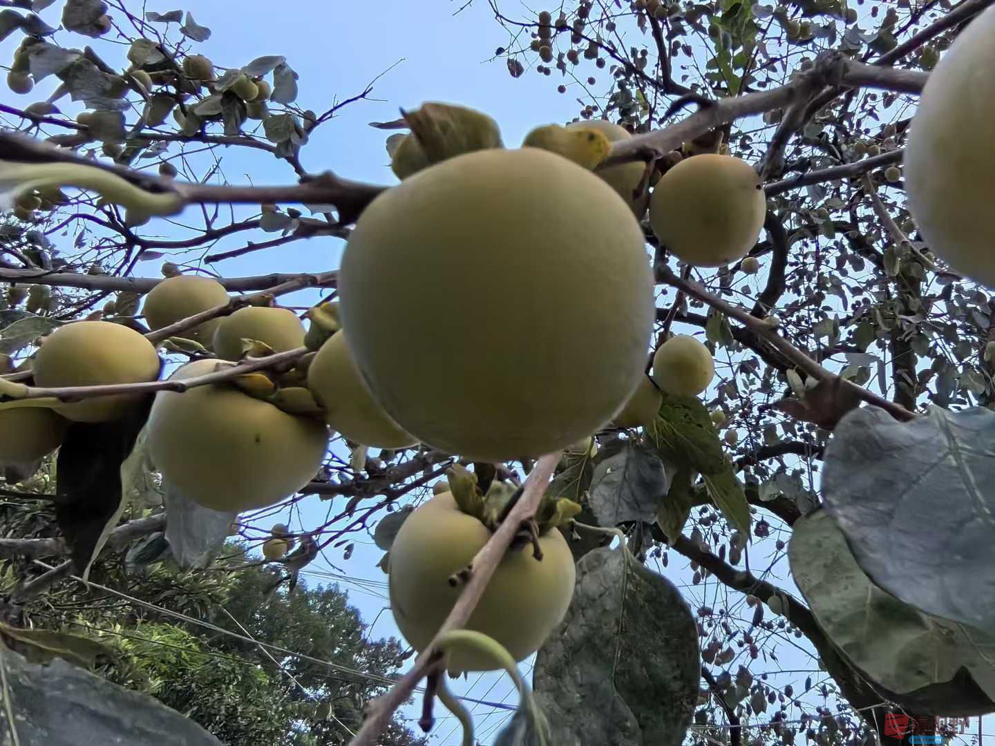微信图片_2025-09-28_100247_315.jpg