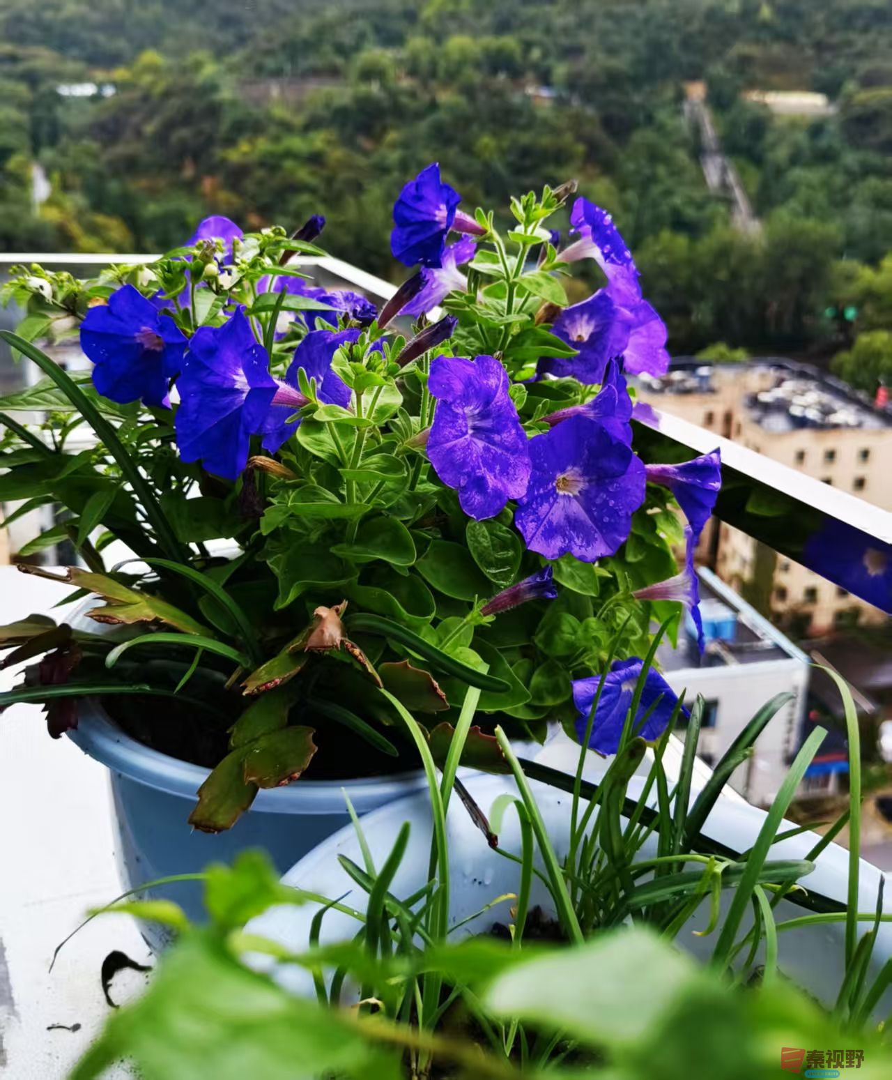 王彦娣_20251013135136_2098_463 (4).jpg