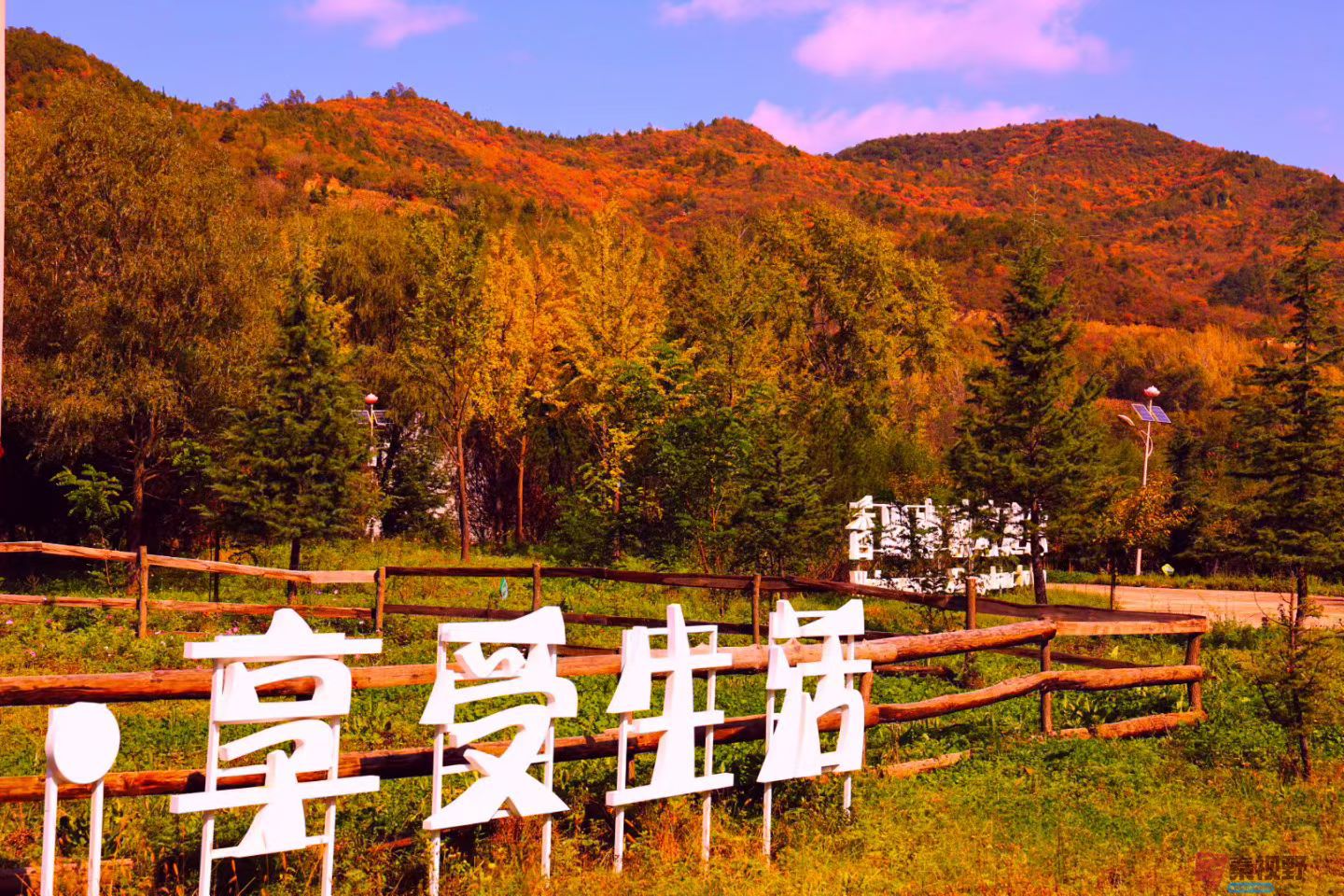 宋宝文20251015 (5).jpg