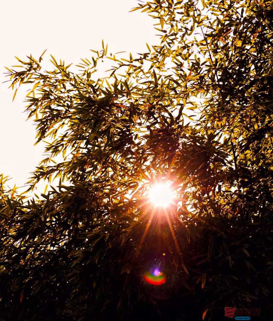 铜川大香山【摄影宋宝文】