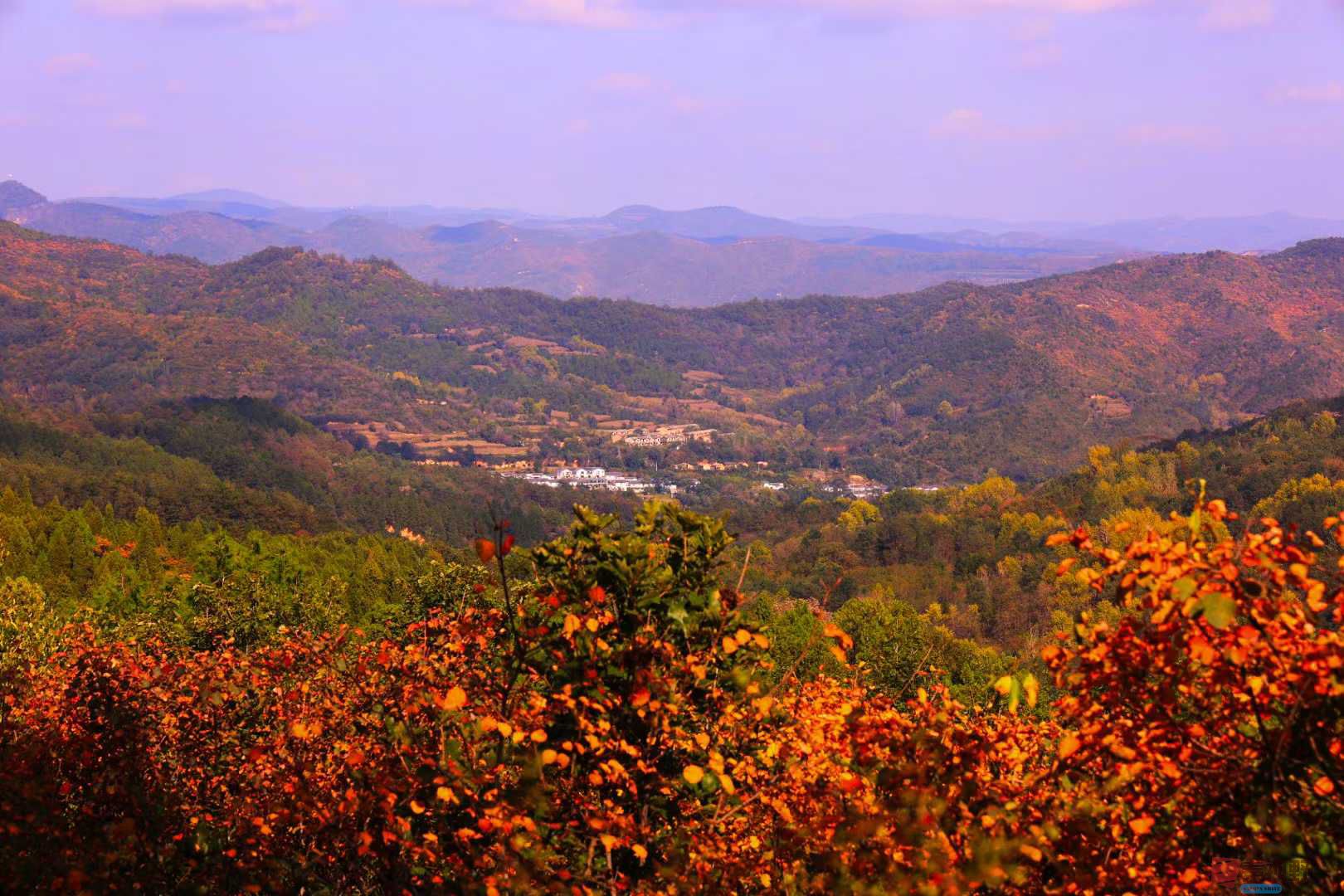 宋宝文_2025-10-14_192900_351 (9).jpg