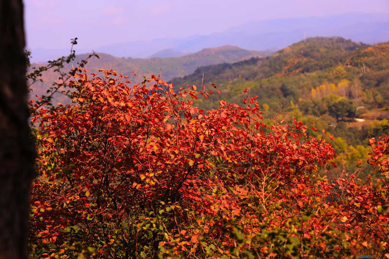 宋宝文_2025-10-14_192900_351 (8).jpg